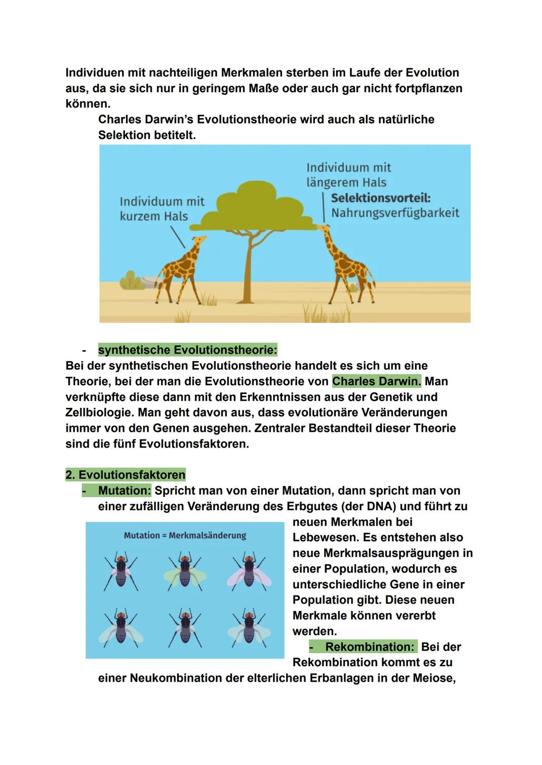 # Biologie - Evolution
## 1. Evolutionstheorien
- Jean Baptiste de Lamarck:
Laut Lamarck passen sich die Arten im Laufe der Zeit an ihre