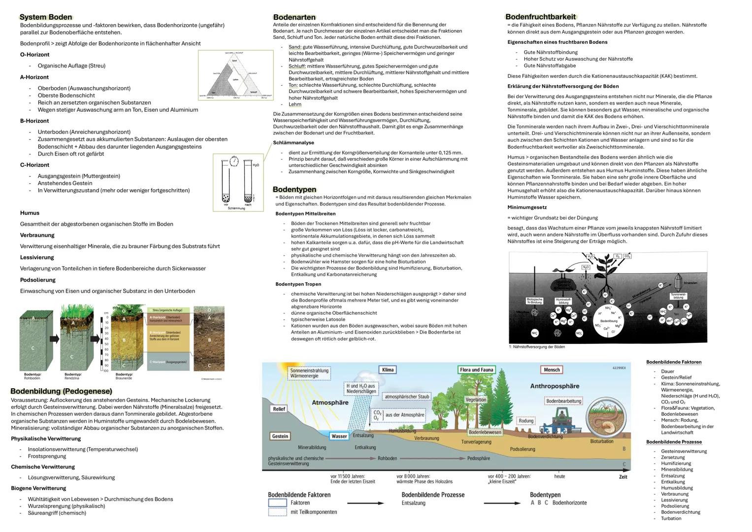 # System Boden
Bodenbildungsprozesse und -faktoren bewirken, dass Bodenhorizonte (ungefähr)
parallel zur Bodenoberfläche entstehen.
Bodenp