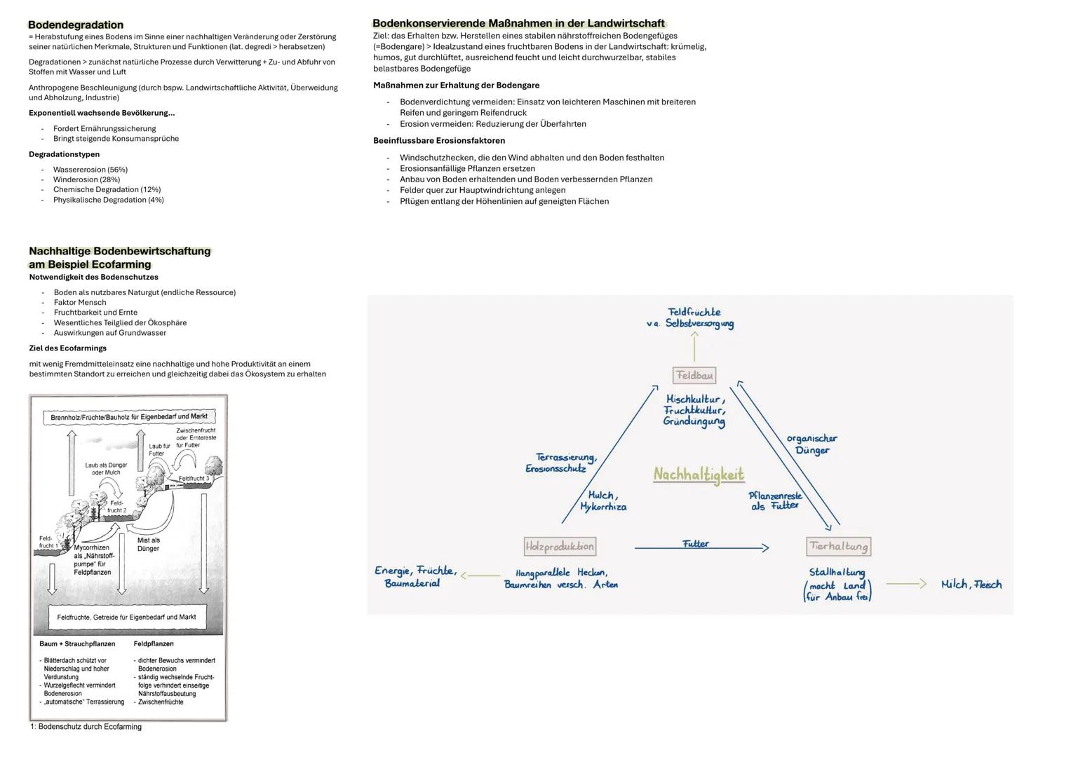 # System Boden
Bodenbildungsprozesse und -faktoren bewirken, dass Bodenhorizonte (ungefähr)
parallel zur Bodenoberfläche entstehen.
Bodenp