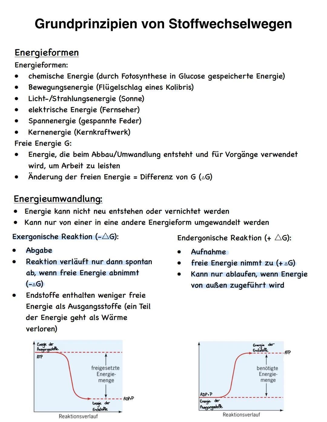 Stoffwechselvorgänge
Stoffwechselvorgänge
Assimilation
= Umwandlung körperfremder Stoffe
in körpereigene energiereiche
organische Stoffe für
