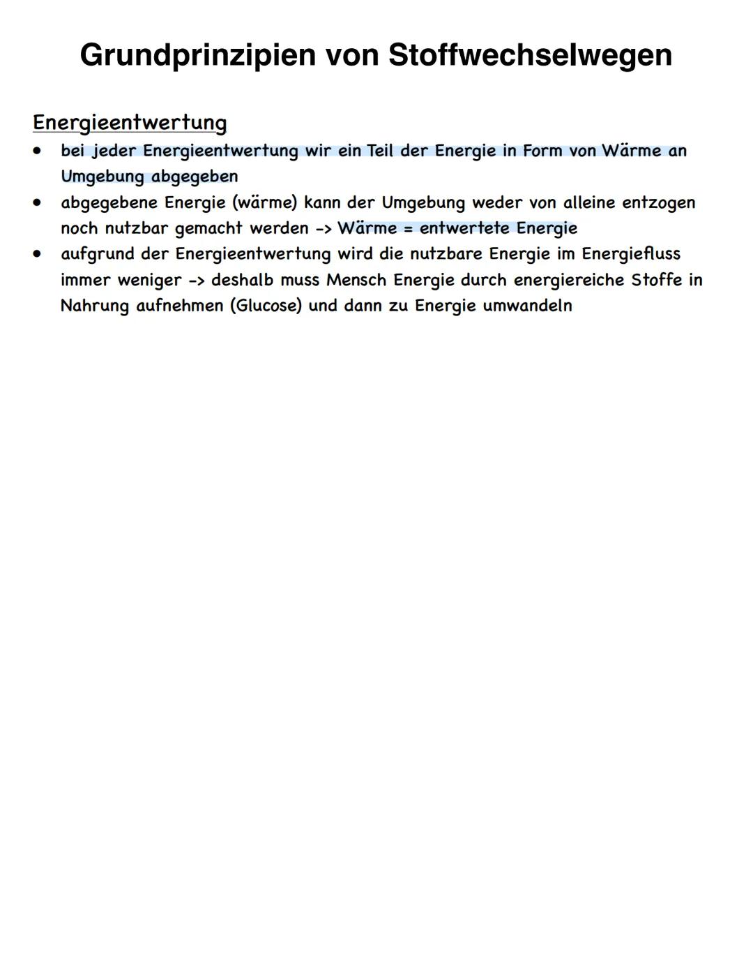 Stoffwechselvorgänge
Stoffwechselvorgänge
Assimilation
= Umwandlung körperfremder Stoffe
in körpereigene energiereiche
organische Stoffe für