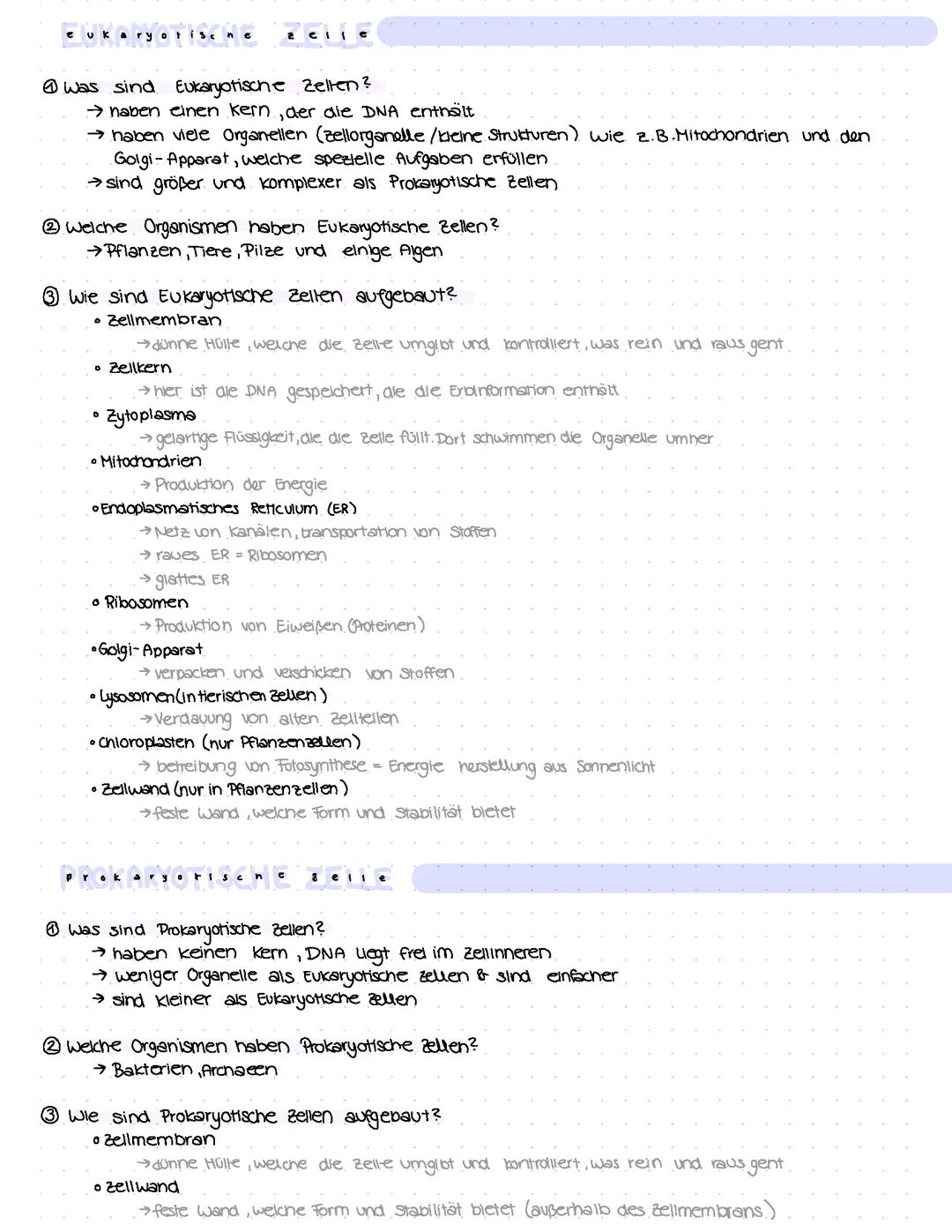 Eukaryotische/Prokaryotische Zellen, Zellen Aufbau/Funktion