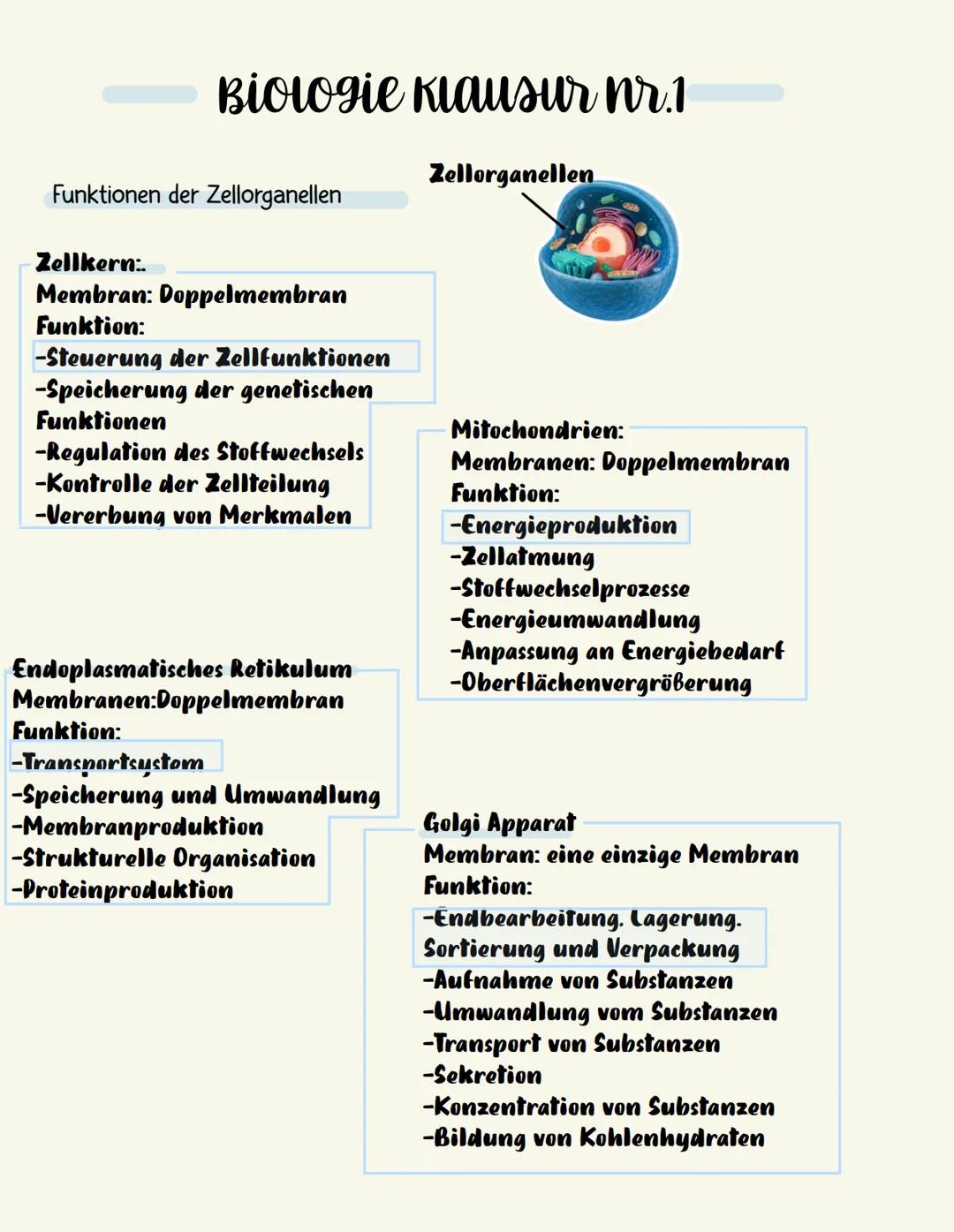 Biologie Klausur nr.1
Tierische/ Pflanzliche Zelle beschreiben
Ribosomen
Raues ER
Zellkern
Nucleolus
Cytoplasma
Zellmembran
-Golgi Apparat
V