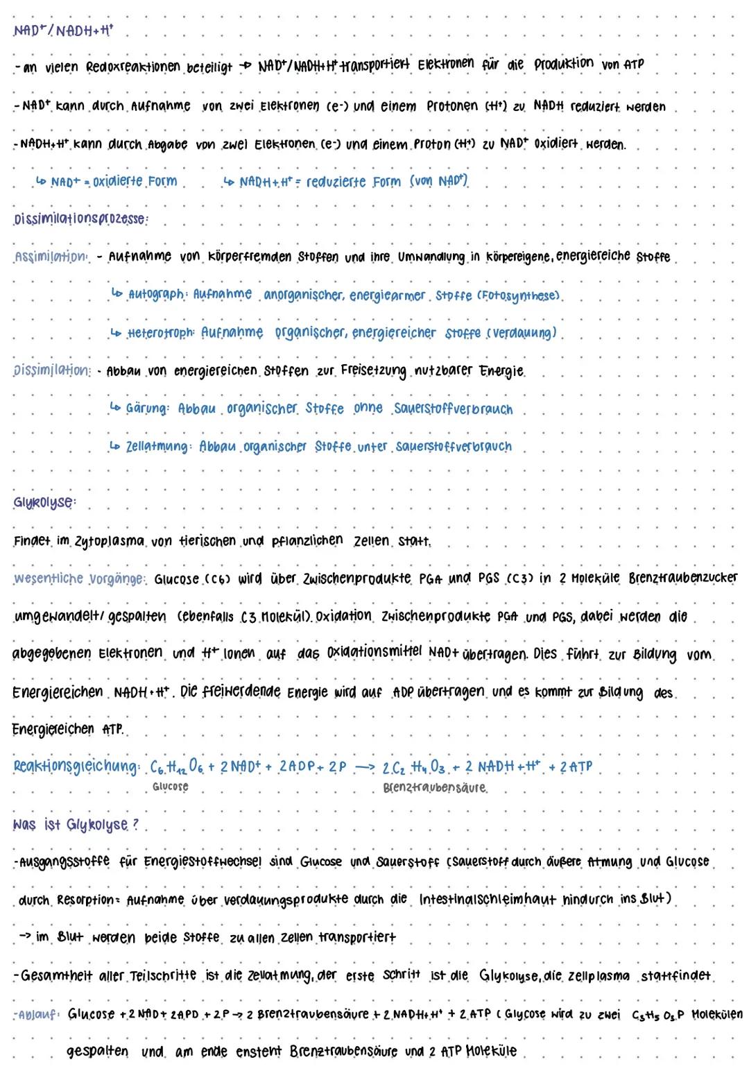 BIO KLAUSUR NUMMER I
Mitochondrien
Intermembran-
raum
-Cristae
Protonenpumpe
Ribosom.
Außere Membran
Versikel
DNA
Cristae
innere Membran
Mat