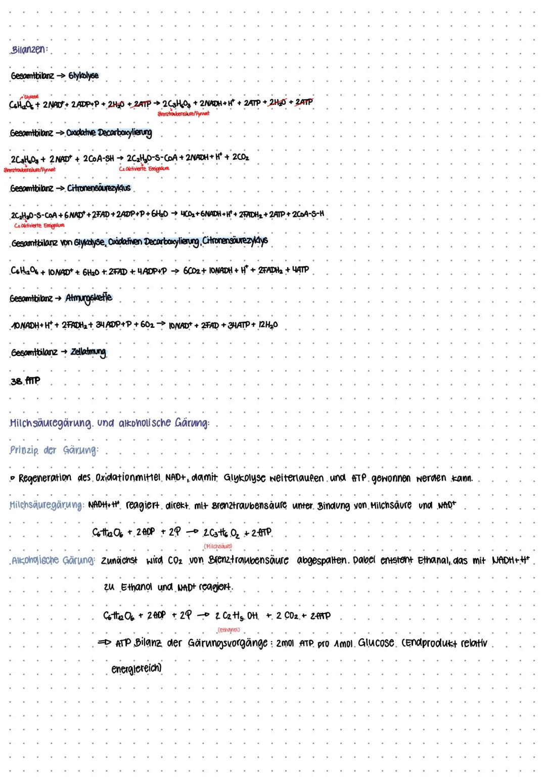 BIO KLAUSUR NUMMER I
Mitochondrien
Intermembran-
raum
-Cristae
Protonenpumpe
Ribosom.
Außere Membran
Versikel
DNA
Cristae
innere Membran
Mat