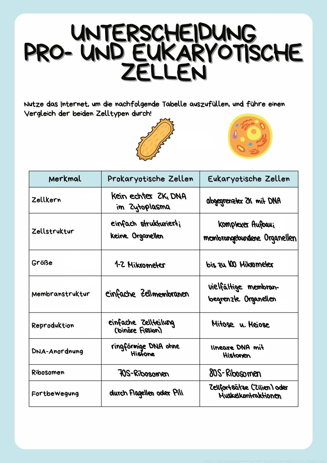 UNTERSCHEIDUNG
PRO- UND EUKARYOTISCHE
ZELLEN
Nutze das Internet, um die nachfolgende Tabelle auszufüllen, und führe einen
Vergleich der beid