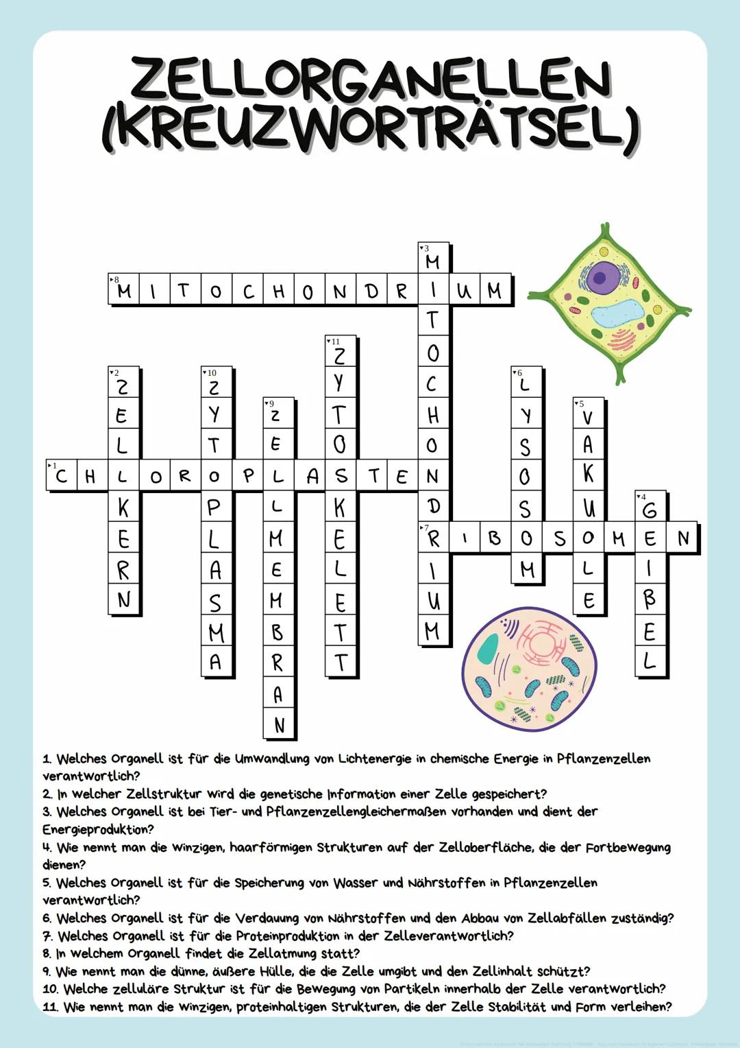 UNTERSCHEIDUNG
PRO- UND EUKARYOTISCHE
ZELLEN
Nutze das Internet, um die nachfolgende Tabelle auszufüllen, und führe einen
Vergleich der beid
