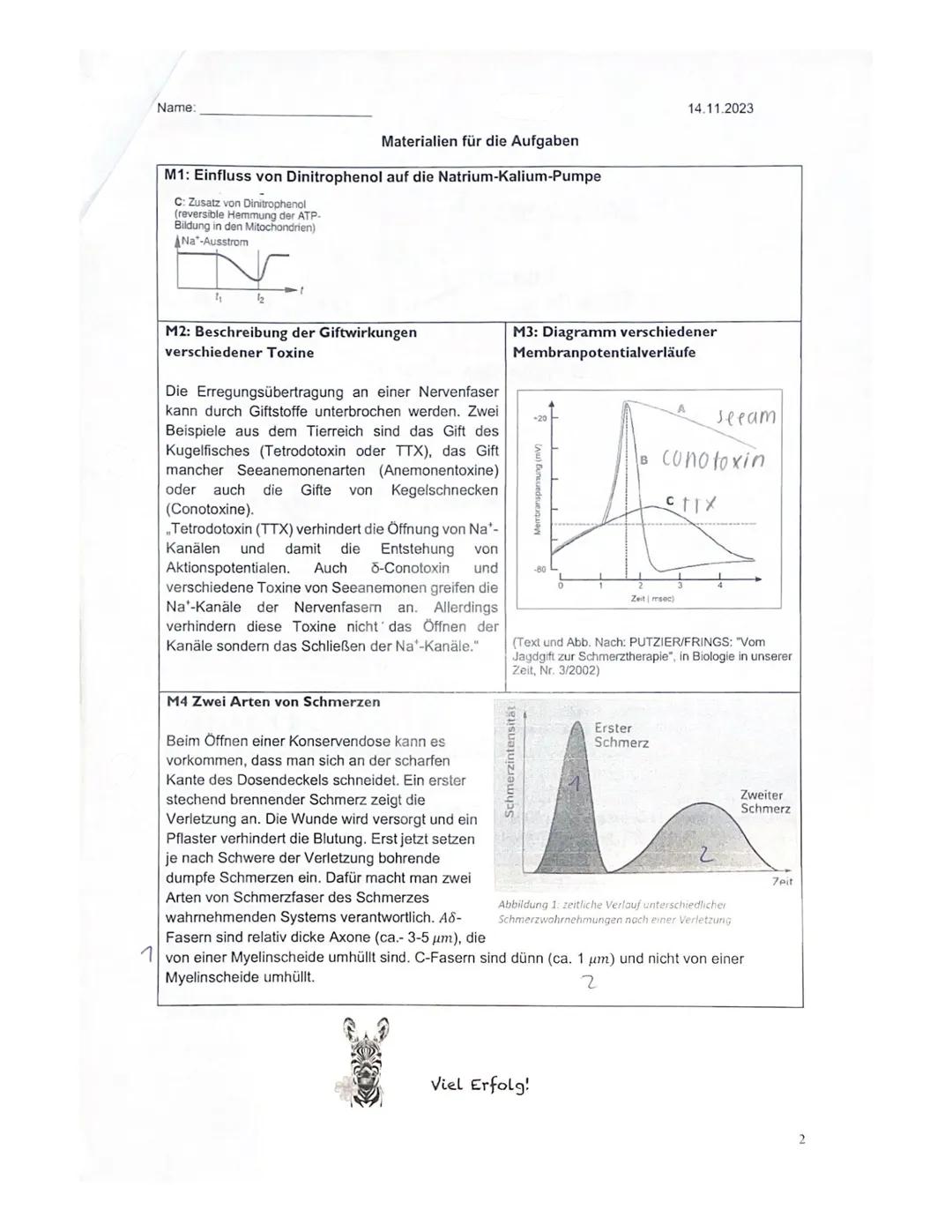 ER
Name:
Klausur I
Neurobiologie
Beurteilung:
erreichte Punktzahl =
(von 65 Pkt.
61
38%) = Note 44
14.11.2023
Bitte achten Sie auf Form und