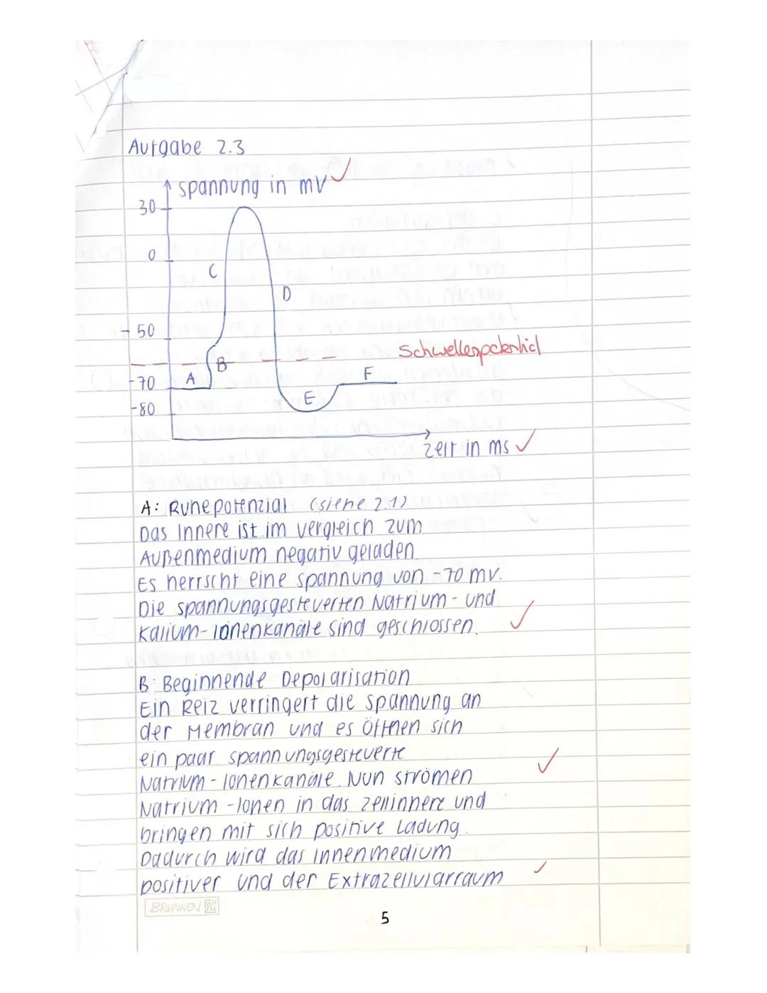 ER
Name:
Klausur I
Neurobiologie
Beurteilung:
erreichte Punktzahl =
(von 65 Pkt.
61
38%) = Note 44
14.11.2023
Bitte achten Sie auf Form und