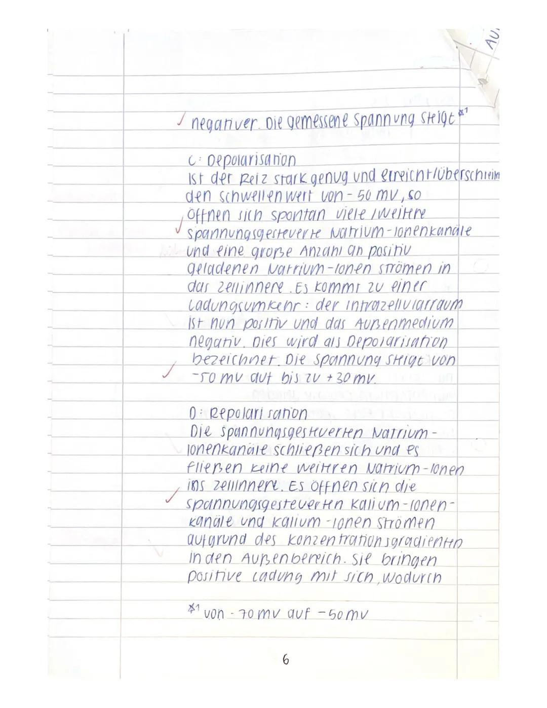 ER
Name:
Klausur I
Neurobiologie
Beurteilung:
erreichte Punktzahl =
(von 65 Pkt.
61
38%) = Note 44
14.11.2023
Bitte achten Sie auf Form und
