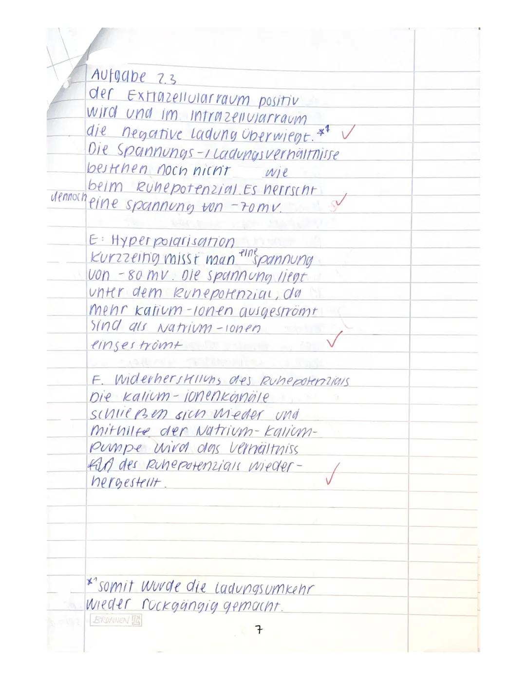 ER
Name:
Klausur I
Neurobiologie
Beurteilung:
erreichte Punktzahl =
(von 65 Pkt.
61
38%) = Note 44
14.11.2023
Bitte achten Sie auf Form und
