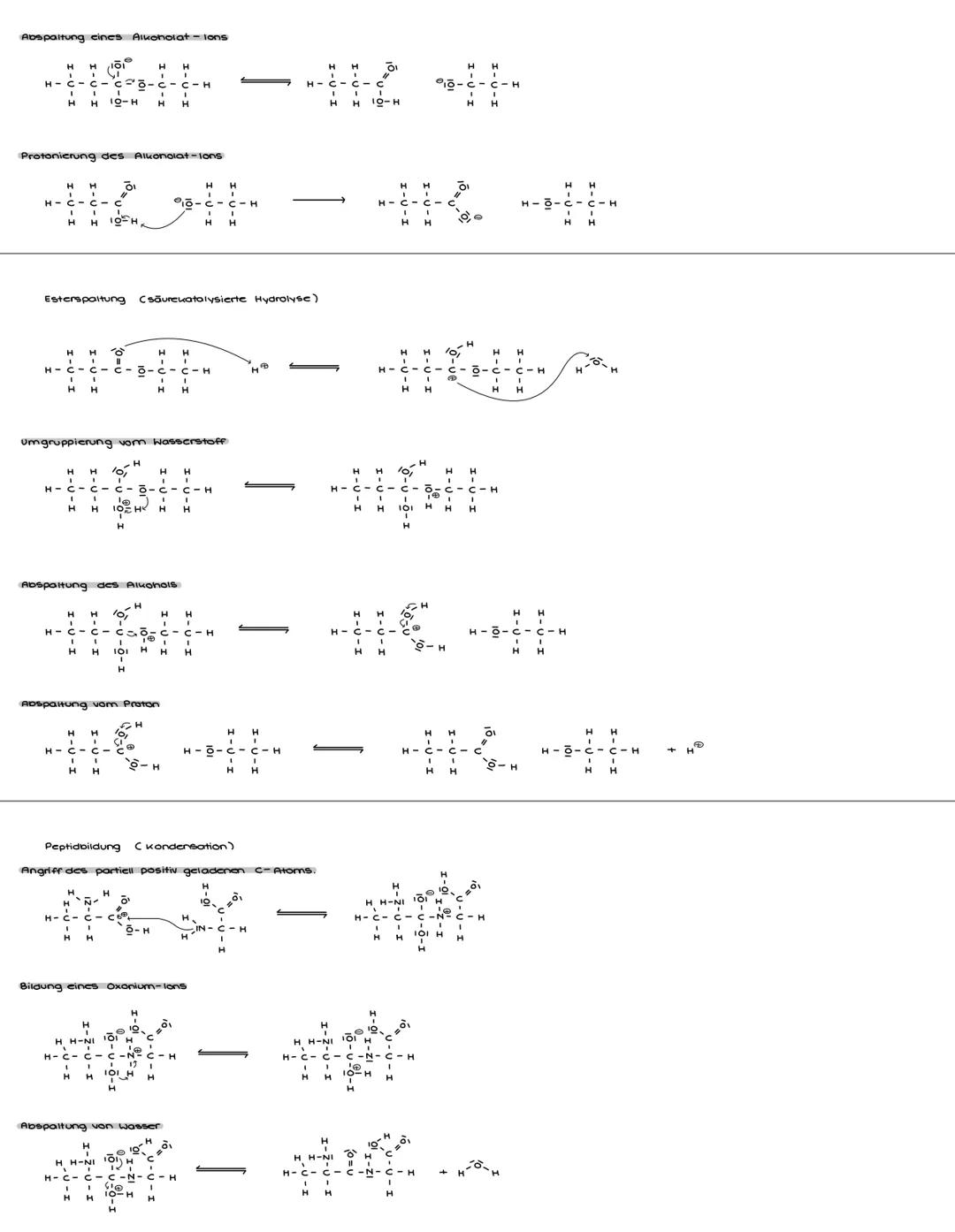 Radikalische Substitution
Initiation
Kettenreaktion
Termination
+
+
18г.
18.
Eleutrophile Addition
Polarisierung des Elektrophils