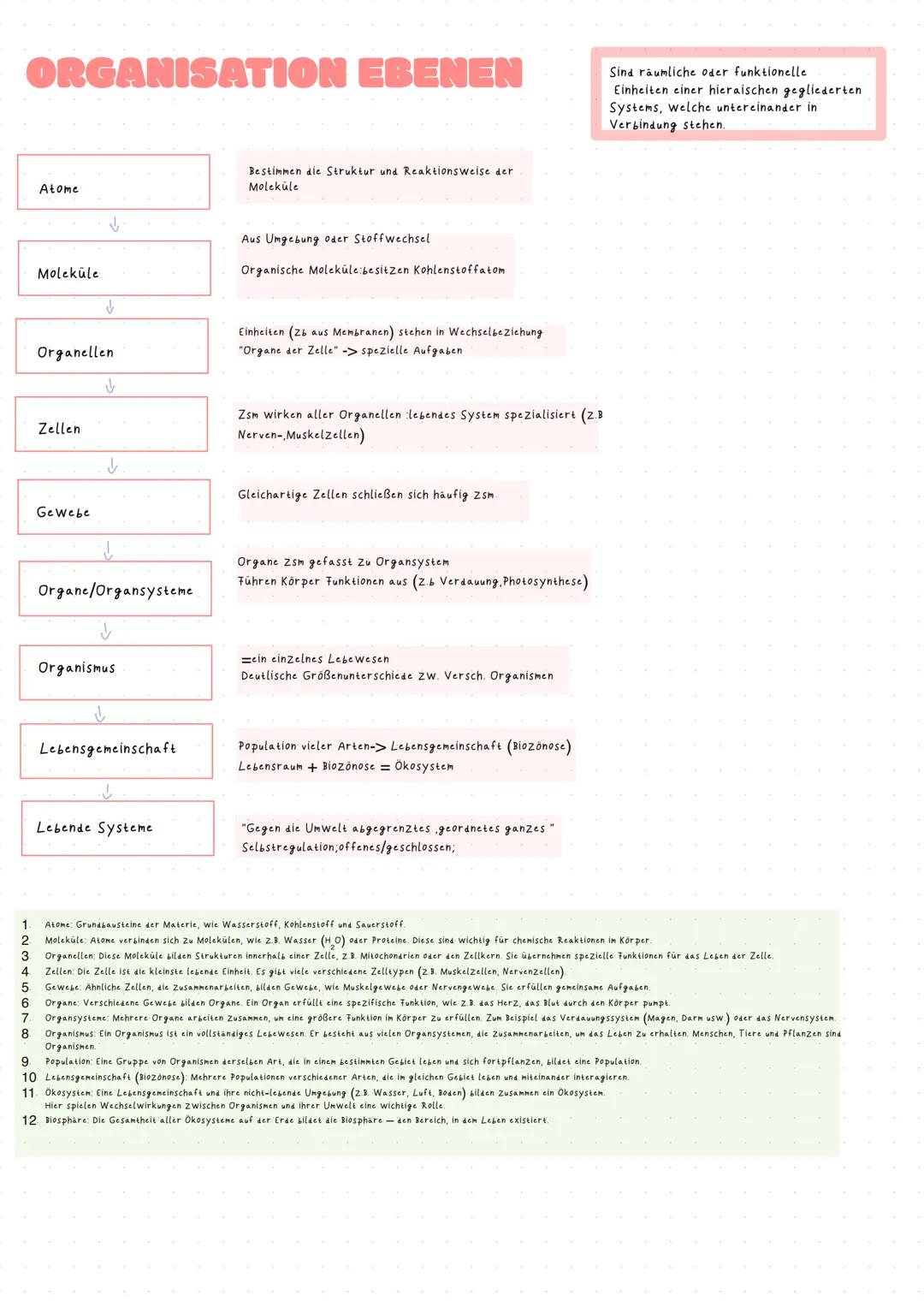Biologie Klasse 11 Klausur 1