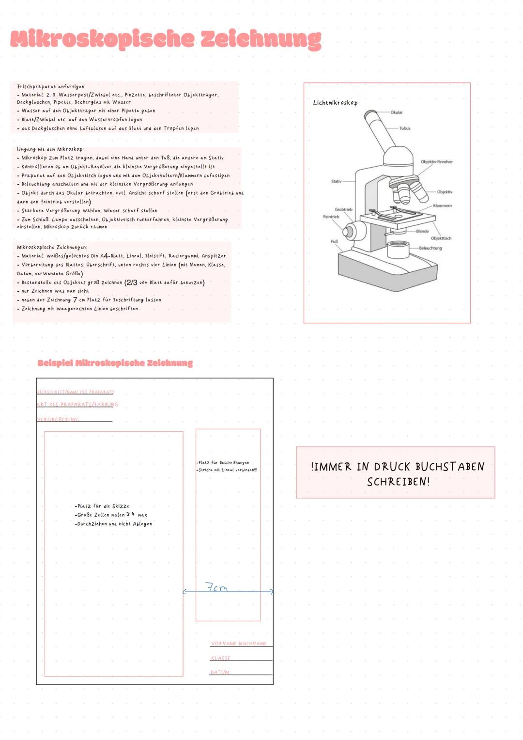 # ORGANISATION EBENEN
Atome
↓
Moleküle
Bestimmen die Struktur und Reaktionsweise der
Moleküle
Aus Umgebung oder Stoffwechsel
Organisch