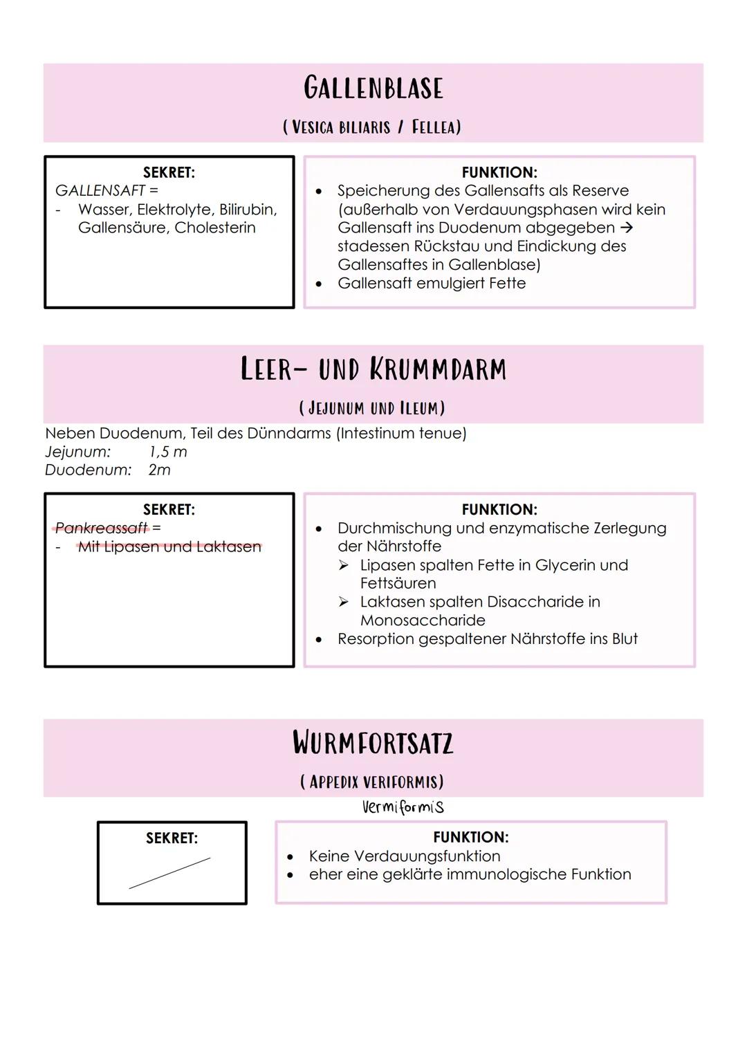 # Das Verdauungssystem
Gastrointestinaltrakt, Magen-Darm-Trakt
* Durchgehendes Rohr
* Beginn: Mund
* Ende: Anus
FEINBAU DES VERDAAU