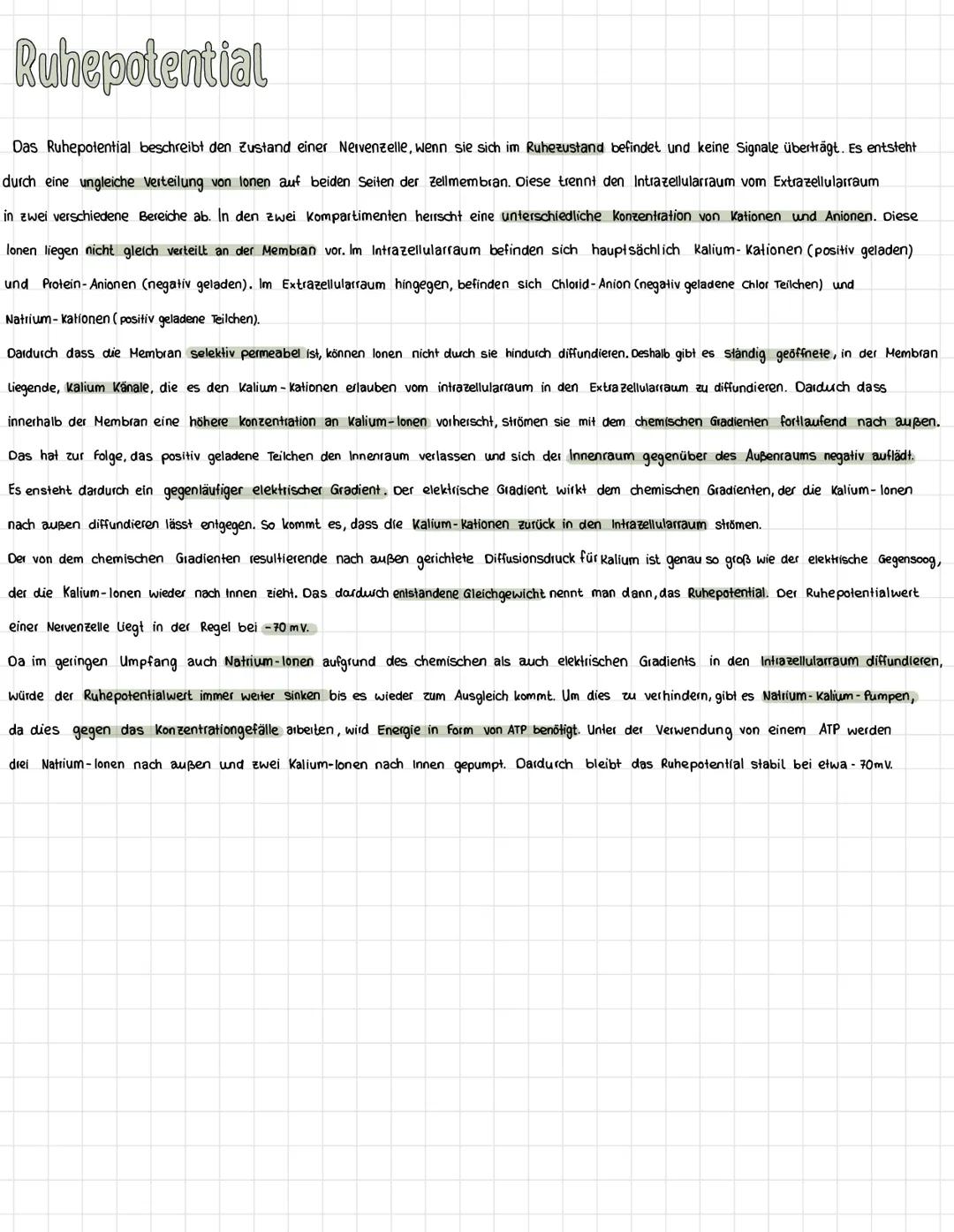 Checkliste:
Big Lernzettel
Aufbau einer Nervenzelle
Dendrit
☑
Ruhepotential Entstehung+ Ablauf
Aktionspotential Entstehung + Ablauf
Aufbau e