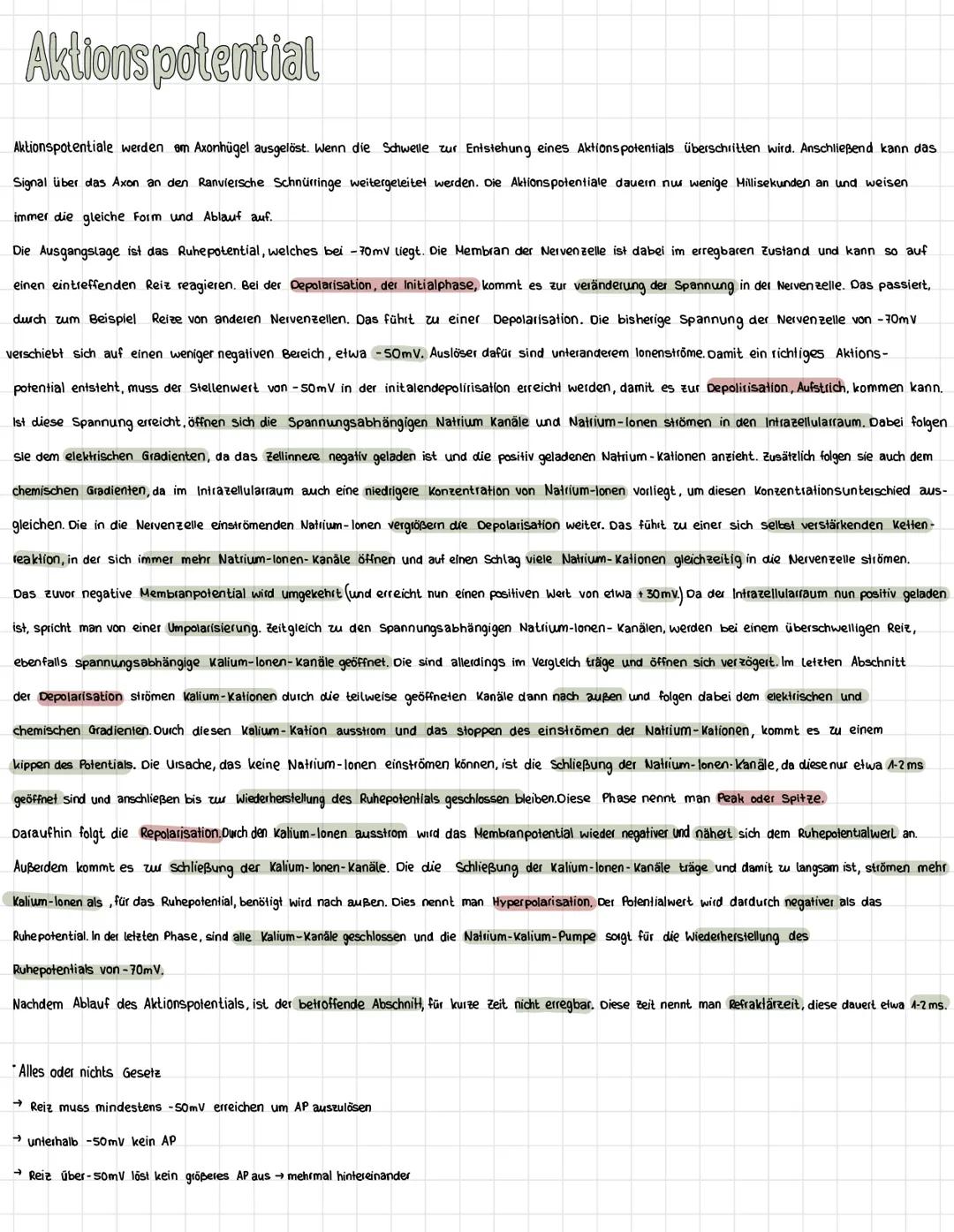 Checkliste:
Big Lernzettel
Aufbau einer Nervenzelle
Dendrit
☑
Ruhepotential Entstehung+ Ablauf
Aktionspotential Entstehung + Ablauf
Aufbau e