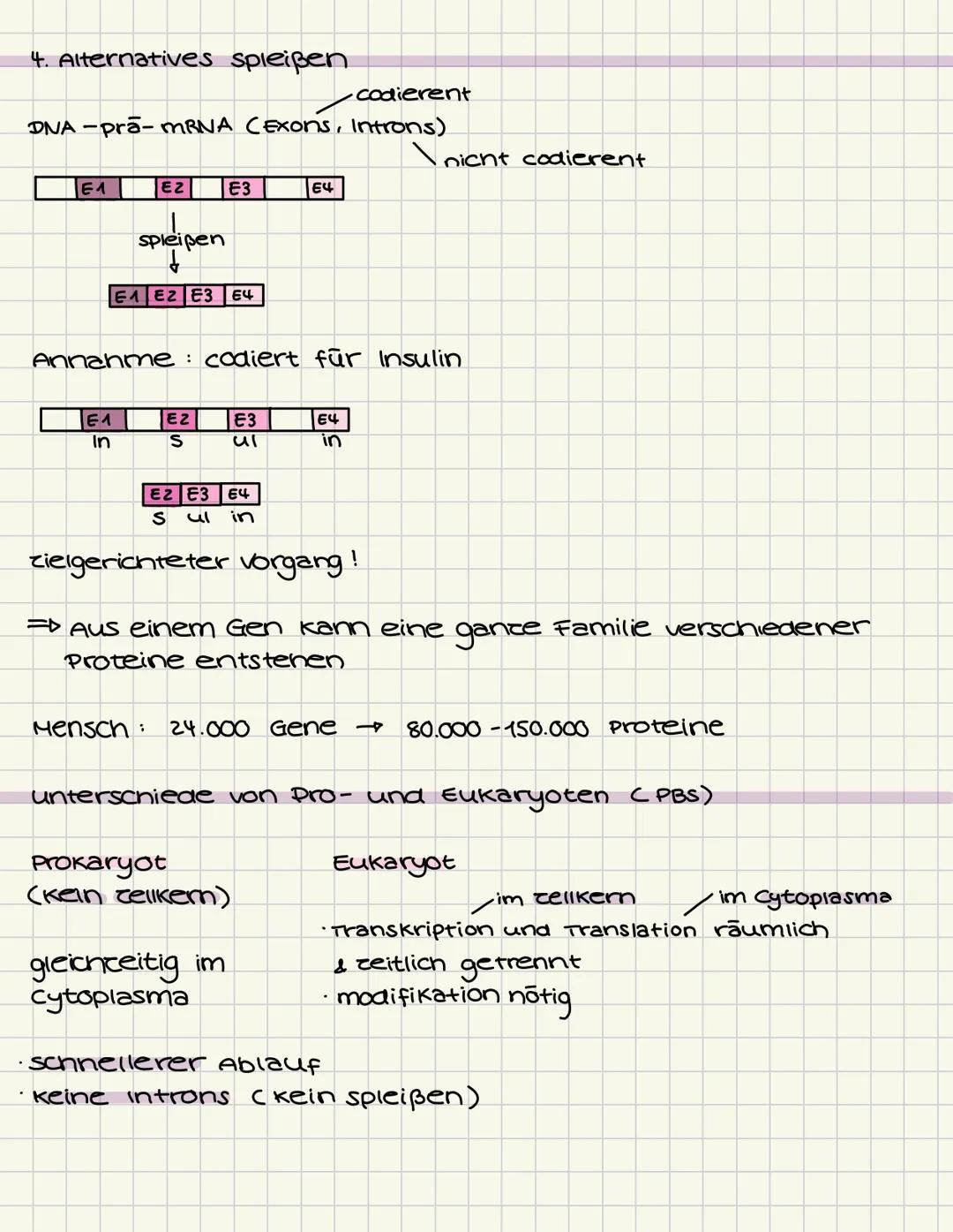 # GENETIK
Aufbau der DNA (Desoxyribonukleinsäure)
5
C
G
3
T
A
A
T
Die Doppelhelix besteht aus vielen Nukle -
otiden, die jeweils aus einem