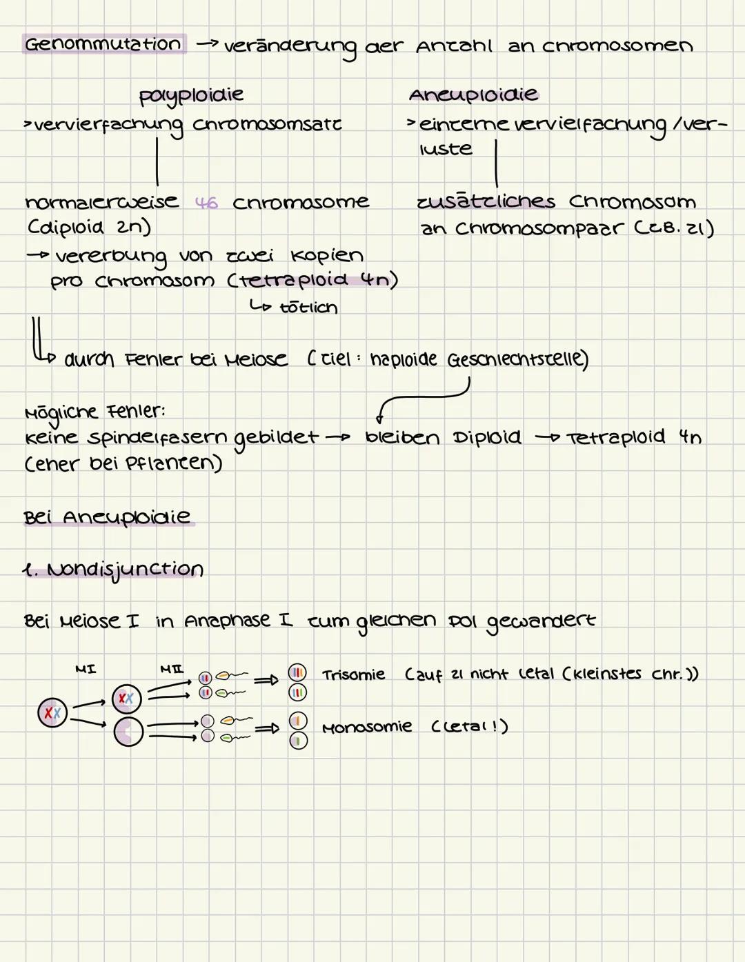 # GENETIK
Aufbau der DNA (Desoxyribonukleinsäure)
5
C
G
3
T
A
A
T
Die Doppelhelix besteht aus vielen Nukle -
otiden, die jeweils aus einem
