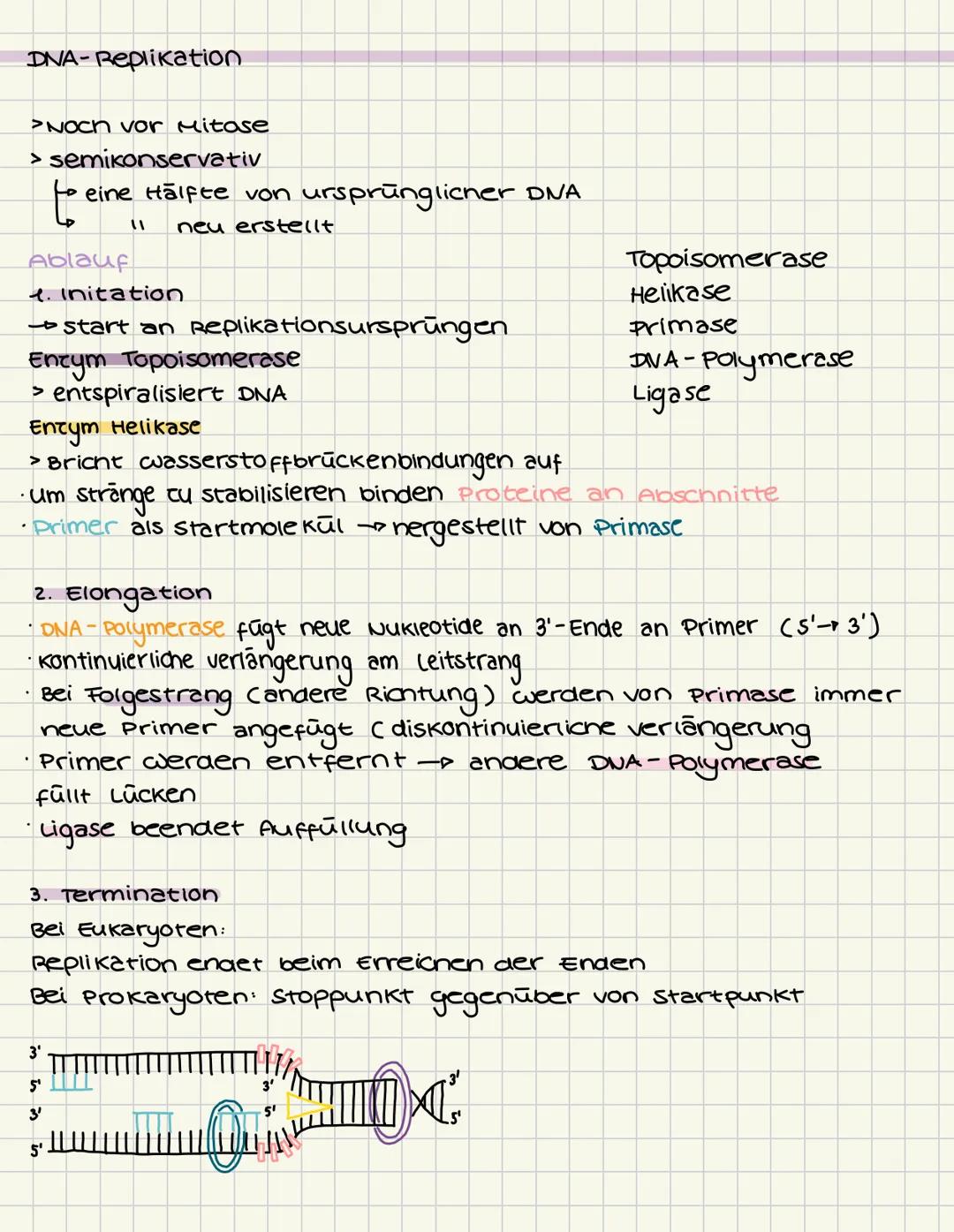 # GENETIK
Aufbau der DNA (Desoxyribonukleinsäure)
5
C
G
3
T
A
A
T
Die Doppelhelix besteht aus vielen Nukle -
otiden, die jeweils aus einem