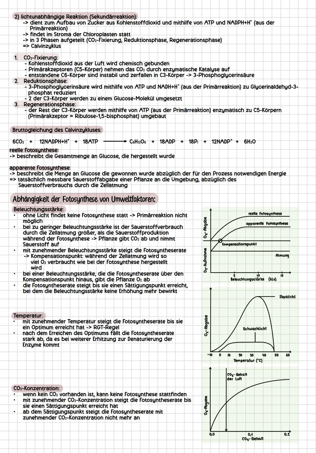 # assimilation
allgemein:
Sprossvegetationspunkt
Blatt
Fototropismus: Wachstum
zum Licht
Spross
Wurzel
Wurzelvegetationspunkt
Geotropi