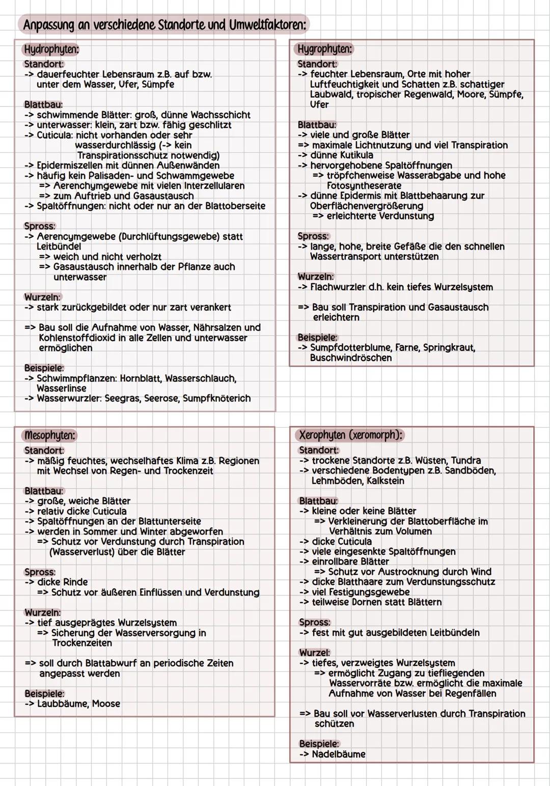 # assimilation
allgemein:
Sprossvegetationspunkt
Blatt
Fototropismus: Wachstum
zum Licht
Spross
Wurzel
Wurzelvegetationspunkt
Geotropi