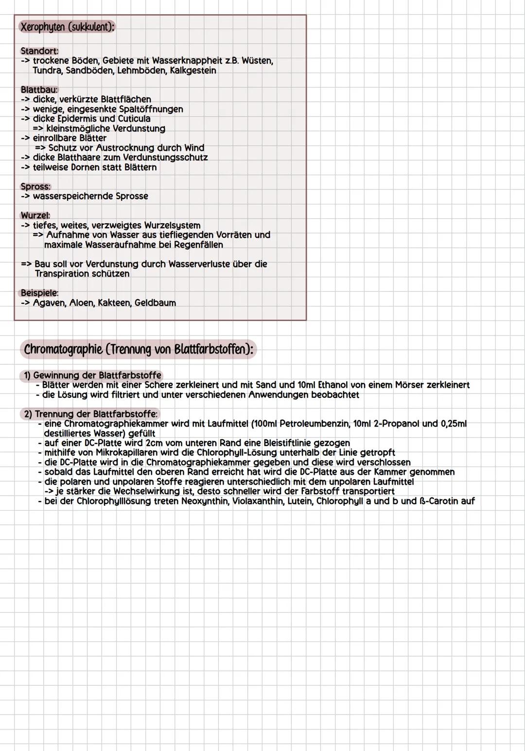 # assimilation
allgemein:
Sprossvegetationspunkt
Blatt
Fototropismus: Wachstum
zum Licht
Spross
Wurzel
Wurzelvegetationspunkt
Geotropi