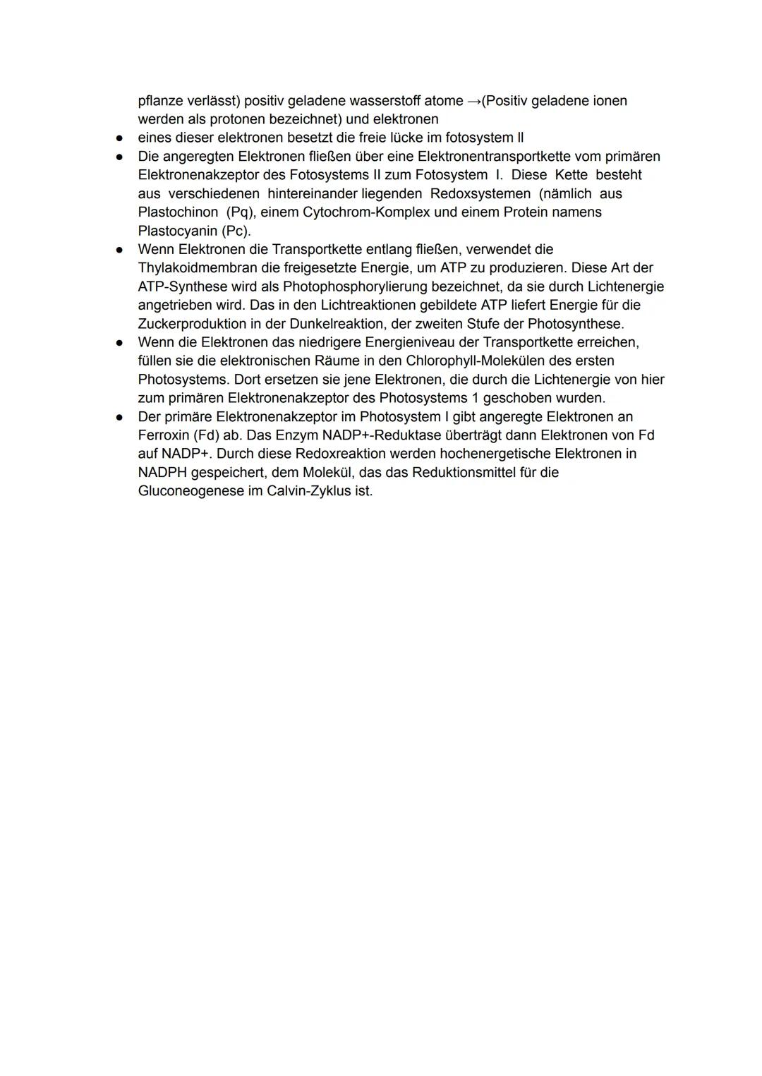 # Photosynthese
- Die Fotosynthese findet in den Chloroplasten statt, genauer in den Thylakoiden, an
der Thylakoidmembran zwischen Lumen (In