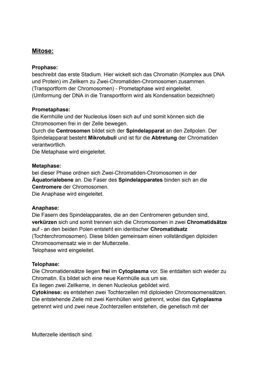 Genetik
Gene
Genetik:
Grundbegriffe die in der Genetik sehr häufig vorkommen:
•
•
•
DNA: Doppelsträngiges Molekül, trägt Erbinformationen, i