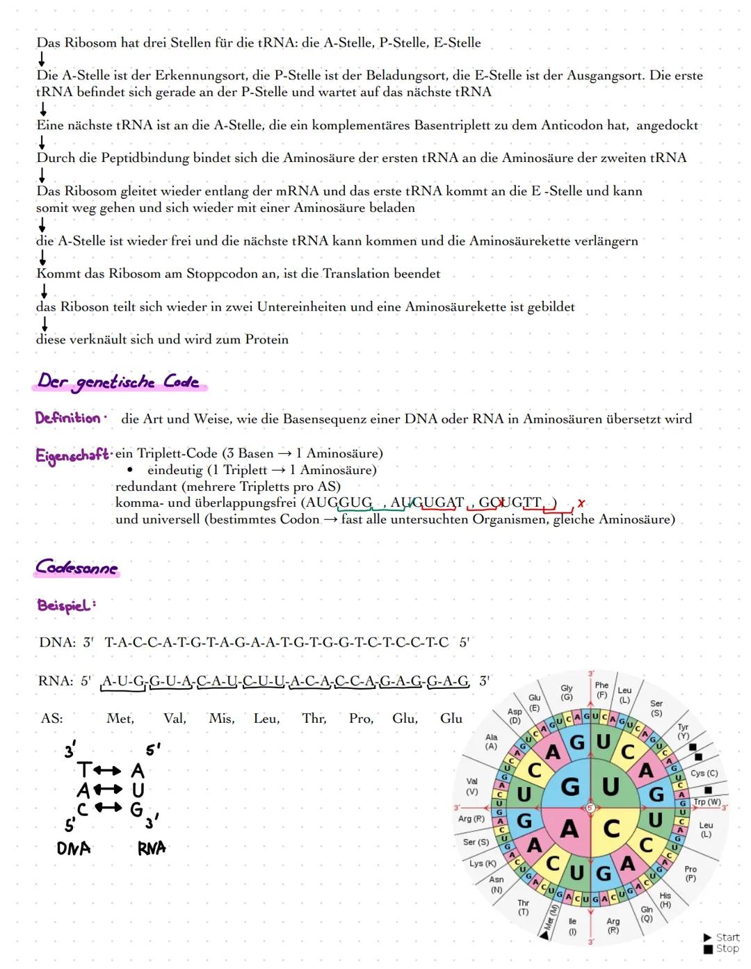 # BIOLOGIE
Leistungskurs
Prüfung: 23.05.2022 # Genetik
DNA
Definition · Desoxyribonukleinsäure ist ein Molekül, welches das grundlegende