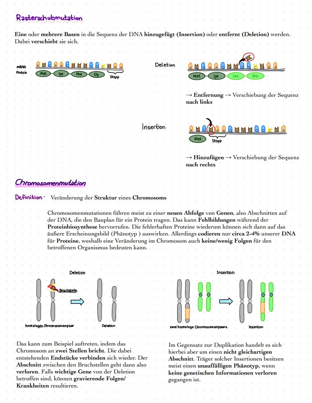 # BIOLOGIE
Leistungskurs
Prüfung: 23.05.2022 # Genetik
DNA
Definition · Desoxyribonukleinsäure ist ein Molekül, welches das grundlegende