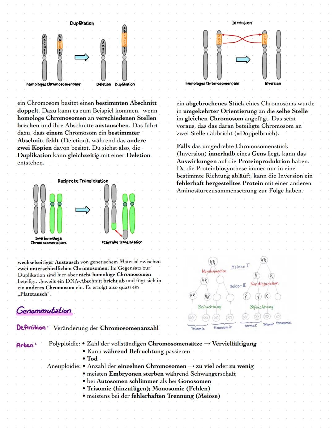 # BIOLOGIE
Leistungskurs
Prüfung: 23.05.2022 # Genetik
DNA
Definition · Desoxyribonukleinsäure ist ein Molekül, welches das grundlegende