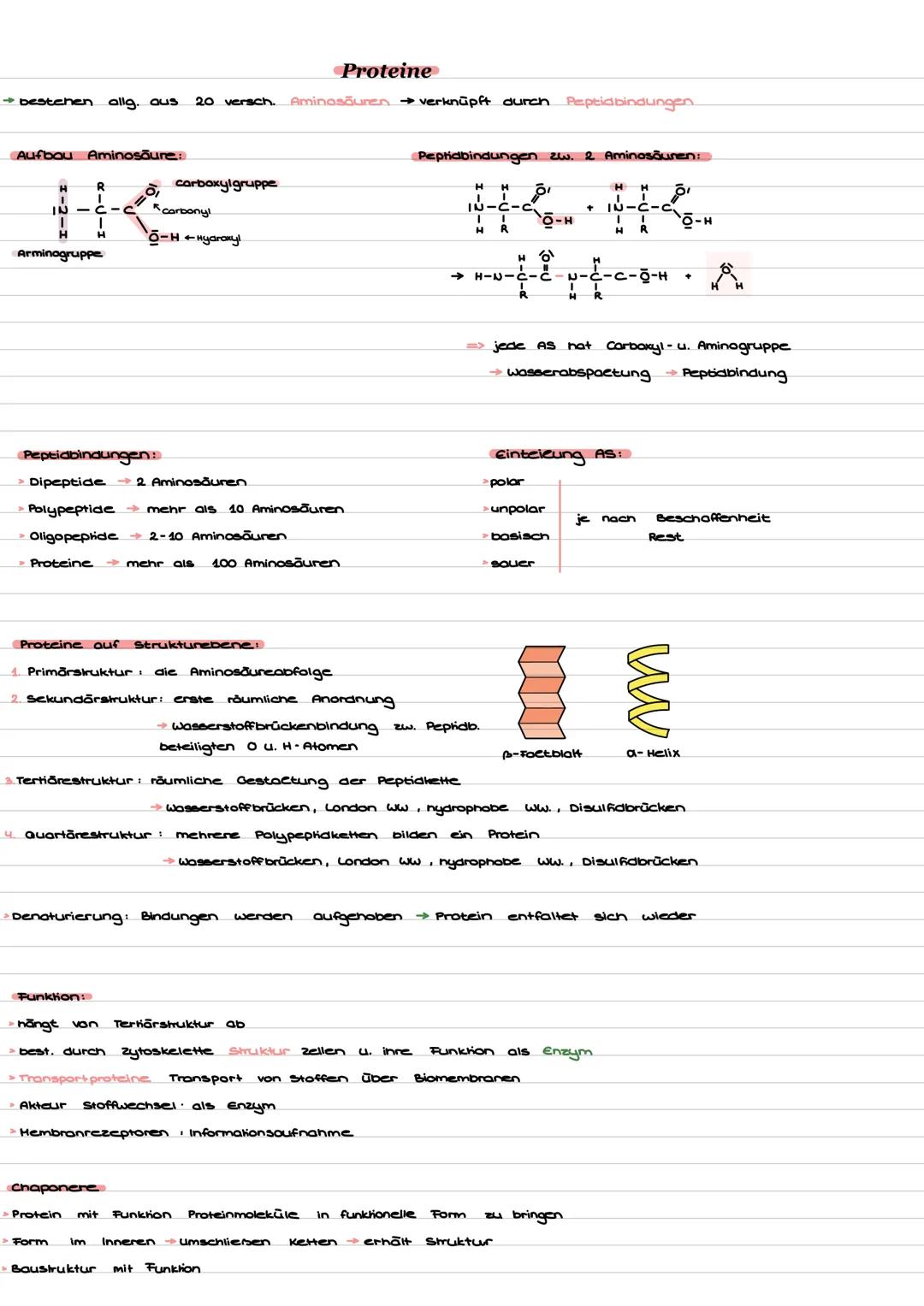 Pflanzenzelle
Zellorganellen u. Funktion
Tierzelle
12 11 10 9
Zellorganellen
1. Zellwand
2. Zellmembran
3. Zentralvakuole
4. Centrosomt
Hikr