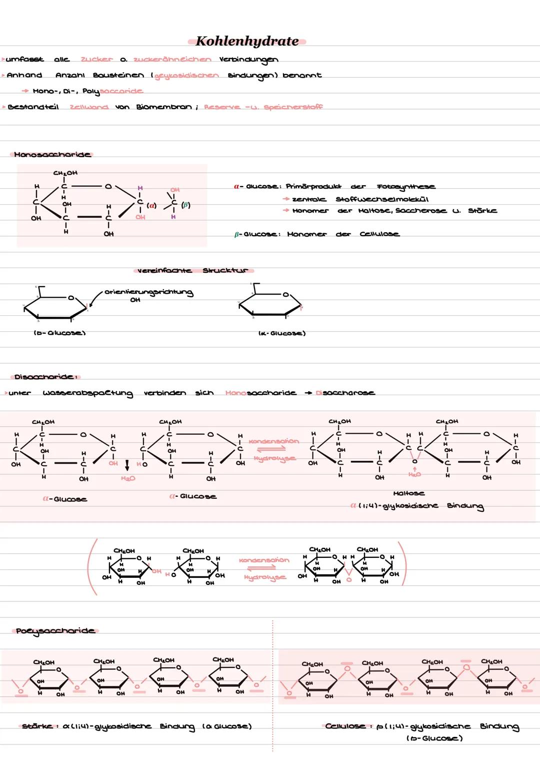 Pflanzenzelle
Zellorganellen u. Funktion
Tierzelle
12 11 10 9
Zellorganellen
1. Zellwand
2. Zellmembran
3. Zentralvakuole
4. Centrosomt
Hikr