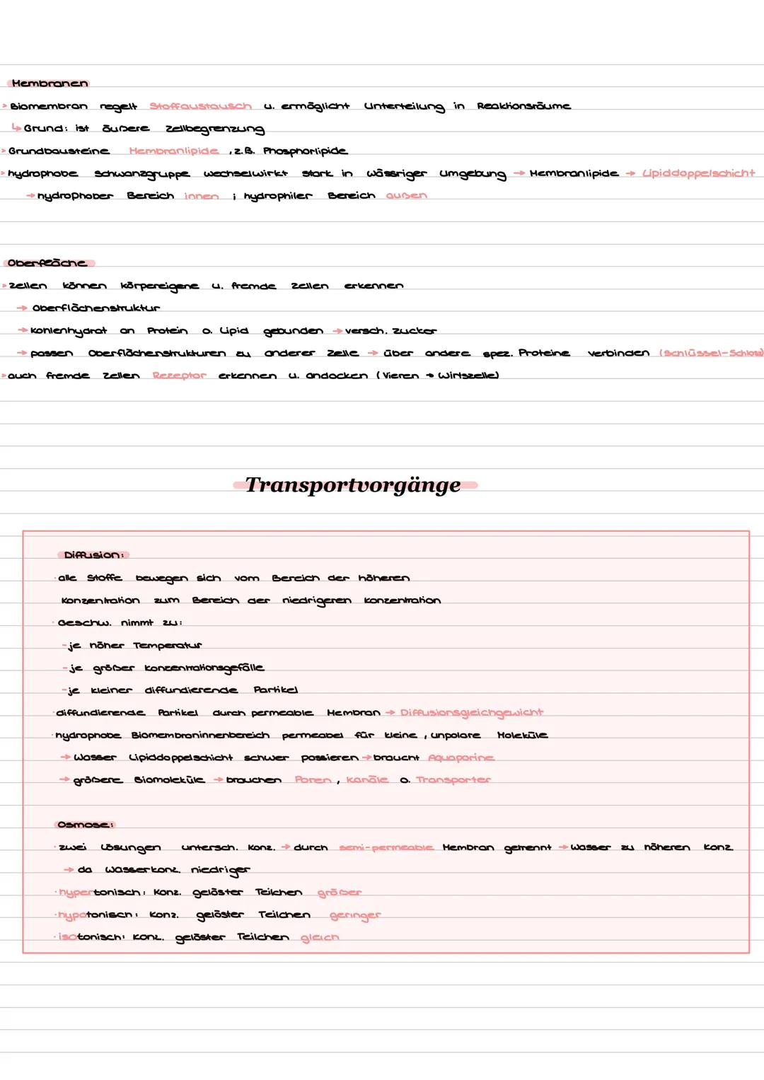 Pflanzenzelle
Zellorganellen u. Funktion
Tierzelle
12 11 10 9
Zellorganellen
1. Zellwand
2. Zellmembran
3. Zentralvakuole
4. Centrosomt
Hikr