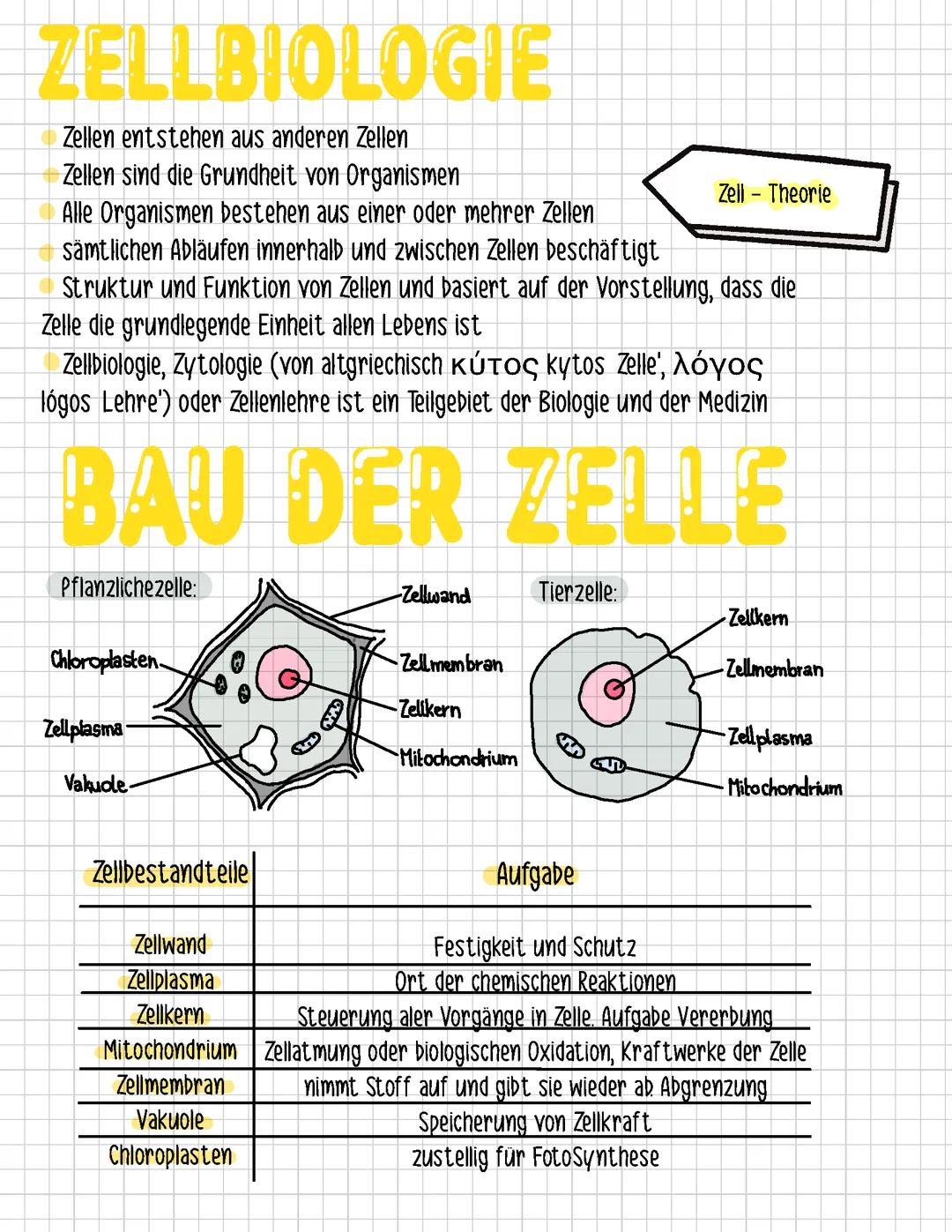 Biologie: Zellbiologie Grundlagen
