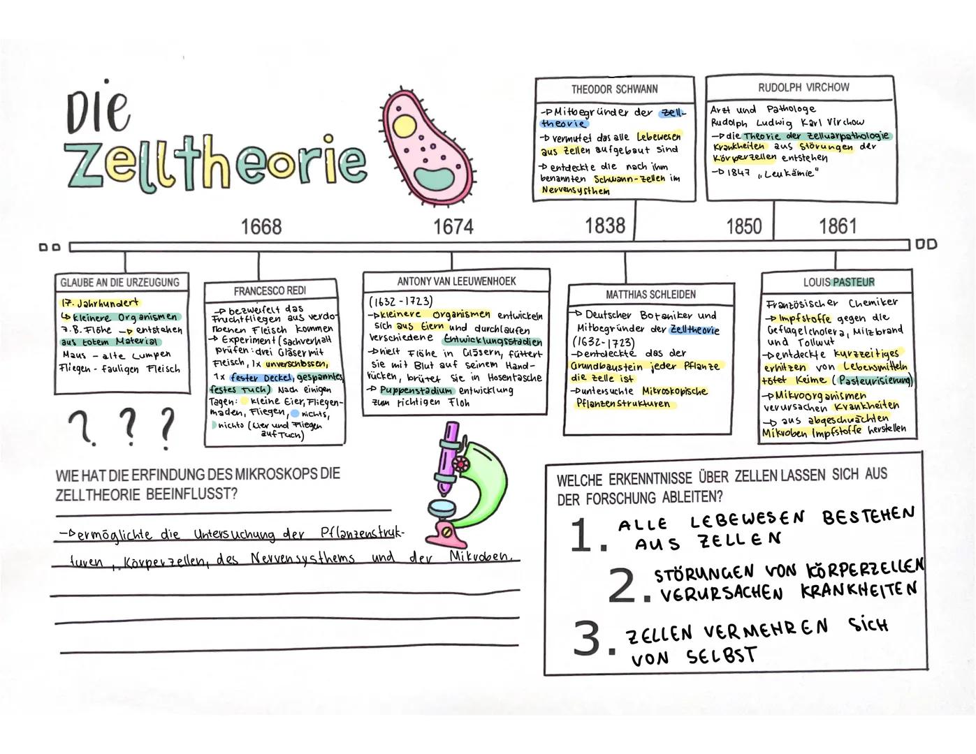 ZELLBIOLOGIE
Zellen entstehen aus anderen Zellen
Zellen sind die Grundheit von Organismen
Alle Organismen bestehen aus einer oder mehrer Zel