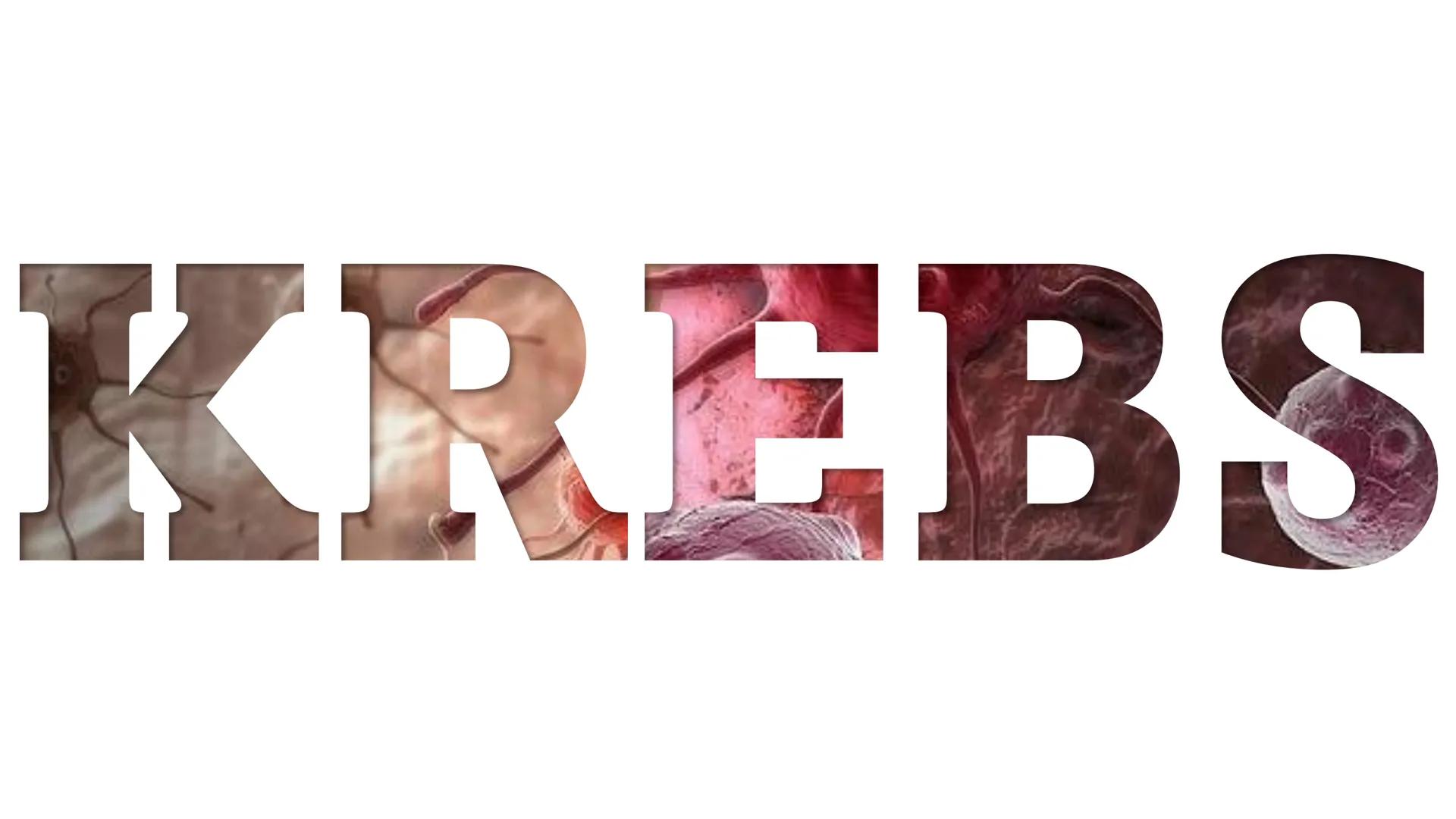 KREBS Gliederung
1. Was ist „Krebs“ und woher kommt der Name Krebs?
2. Welche Varianten von Krebs gibt es?
3. Was sind Tumoren/ Metastasen?