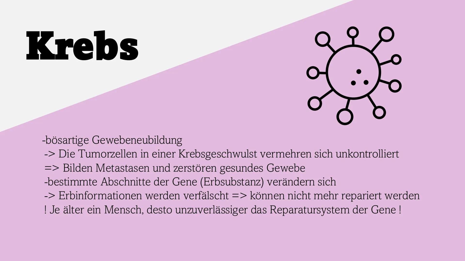 KREBS Gliederung
1. Was ist „Krebs“ und woher kommt der Name Krebs?
2. Welche Varianten von Krebs gibt es?
3. Was sind Tumoren/ Metastasen?