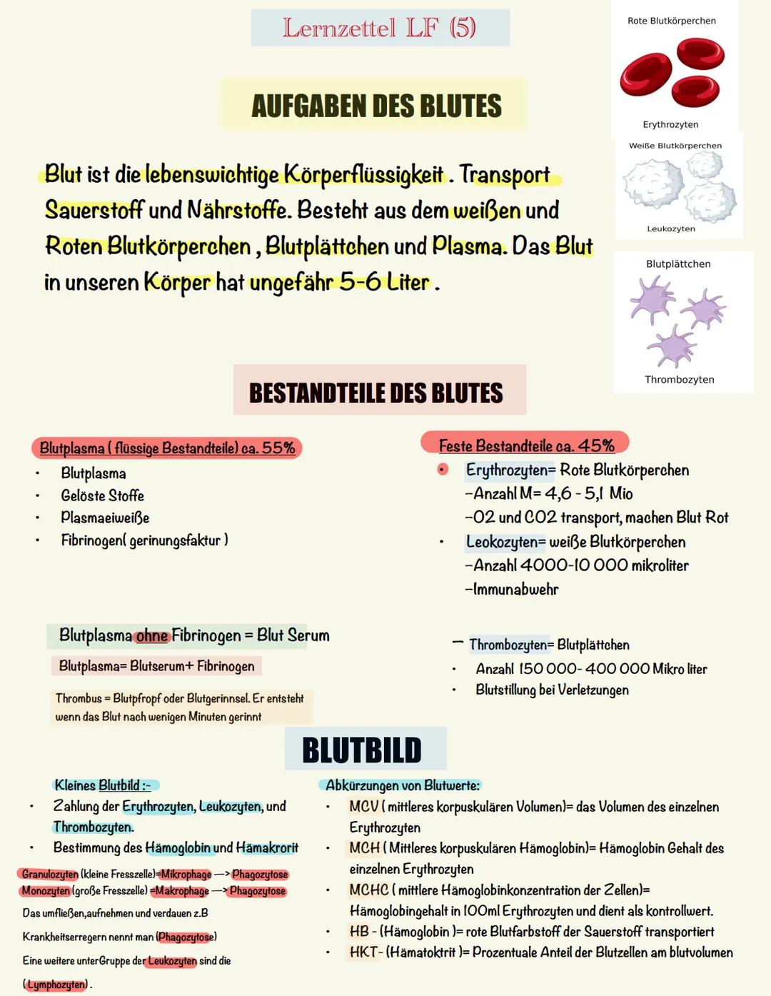Lernzettel LF (5)
Rote Blutkörperchen
AUFGABEN DES BLUTES
Blut ist die lebenswichtige Körperflüssigkeit. Transport
Sauerstoff und Nährstoffe
