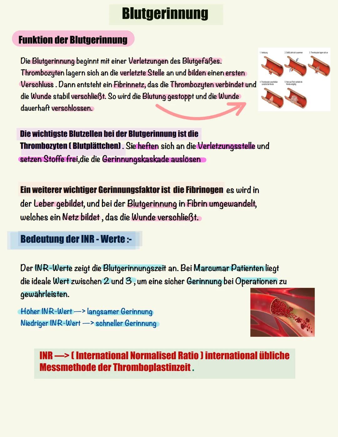 Lernzettel LF (5)
Rote Blutkörperchen
AUFGABEN DES BLUTES
Blut ist die lebenswichtige Körperflüssigkeit. Transport
Sauerstoff und Nährstoffe