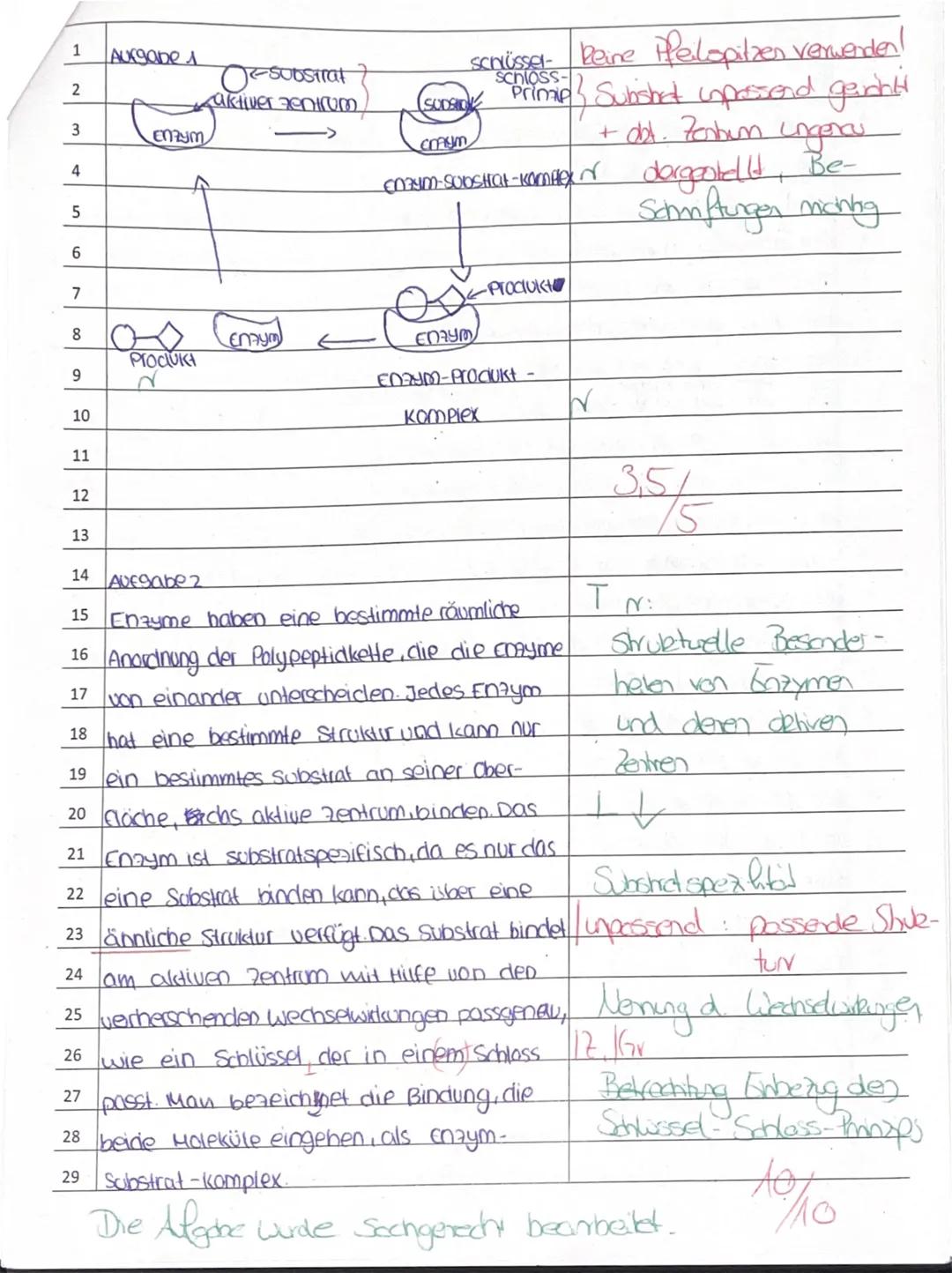 Biologie-Klausur Nr. 2
Schuljahr 2023/2024, 2. Halbjahr
Name:
11
14.05.2024
Lassen Sie einen mindestens 8 cm breiten Korrekturrand. Die