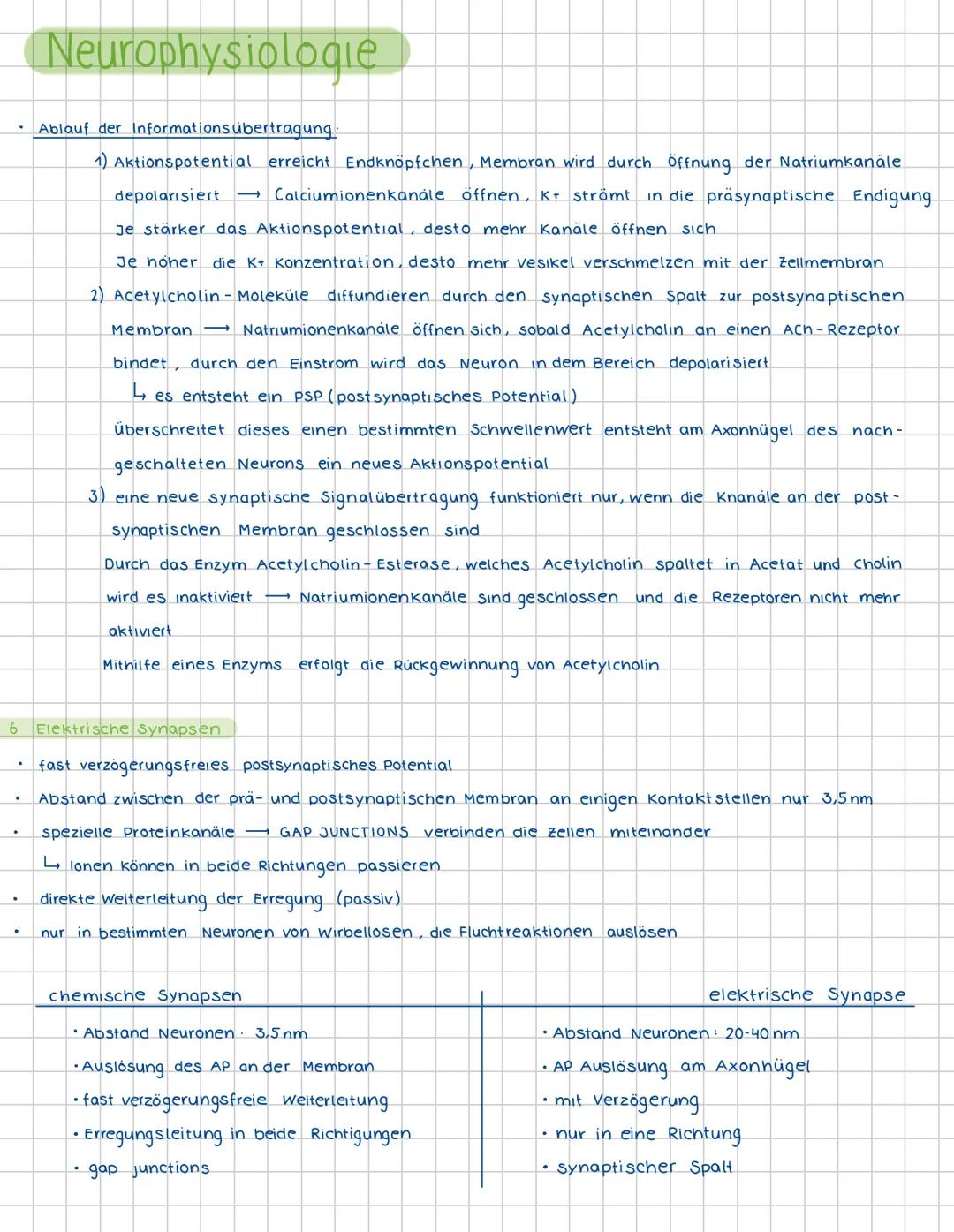 1
Neurophysiologie
Neuronen und Gliazellen
Dendrit-
(Informationsaufnahme
von anderen Zellen)
Zellplasma
Endknöpfchen
(Informationsübertragu