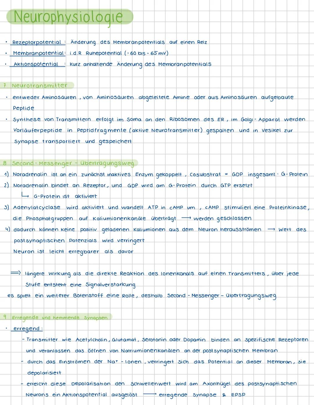 1
Neurophysiologie
Neuronen und Gliazellen
Dendrit-
(Informationsaufnahme
von anderen Zellen)
Zellplasma
Endknöpfchen
(Informationsübertragu