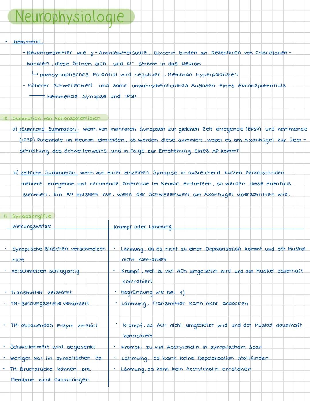 1
Neurophysiologie
Neuronen und Gliazellen
Dendrit-
(Informationsaufnahme
von anderen Zellen)
Zellplasma
Endknöpfchen
(Informationsübertragu