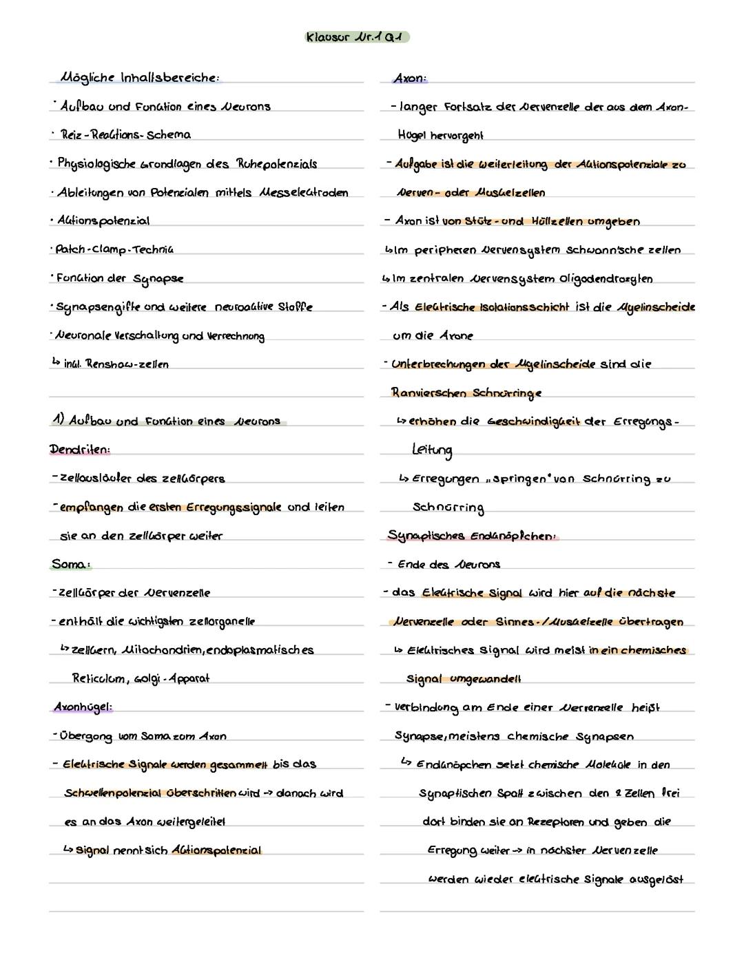 Neurobiologie Lk Lernzettel