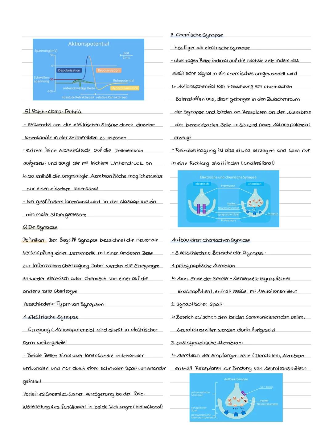 Mögliche Inhaltsbereiche:
• Aufbau und Function eines Neurons.
Reiz Reaktions-Schema
Klausur Nr. 1Q1
· Physiologische Grundlagen des Ruhepot