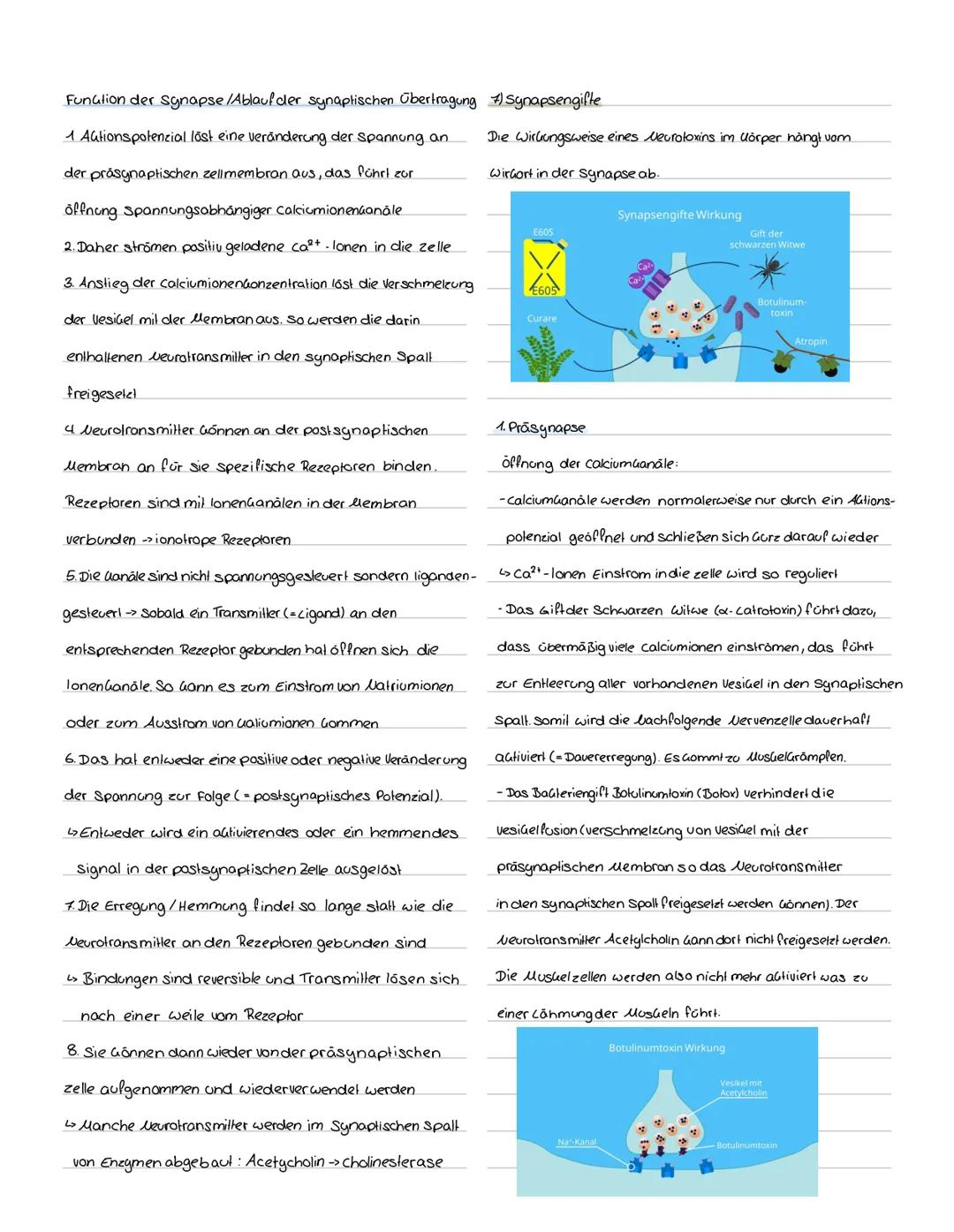 Mögliche Inhaltsbereiche:
• Aufbau und Function eines Neurons.
Reiz Reaktions-Schema
Klausur Nr. 1Q1
· Physiologische Grundlagen des Ruhepot