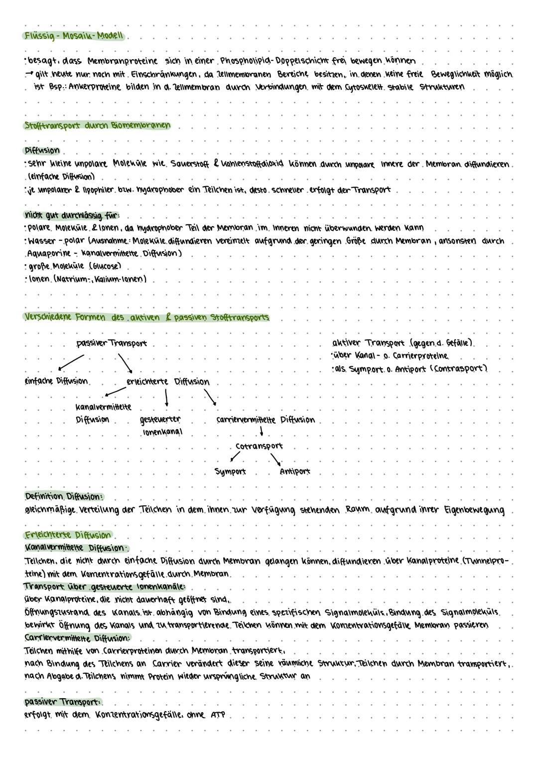 # BIOLOGIE
Biomembranen & Stofftransport 19.11.24
Lipide.
- Glycerin
- 3 Fettsäuren.
Phospholipide
- Glycerinphosphat
hydrophil, polar.