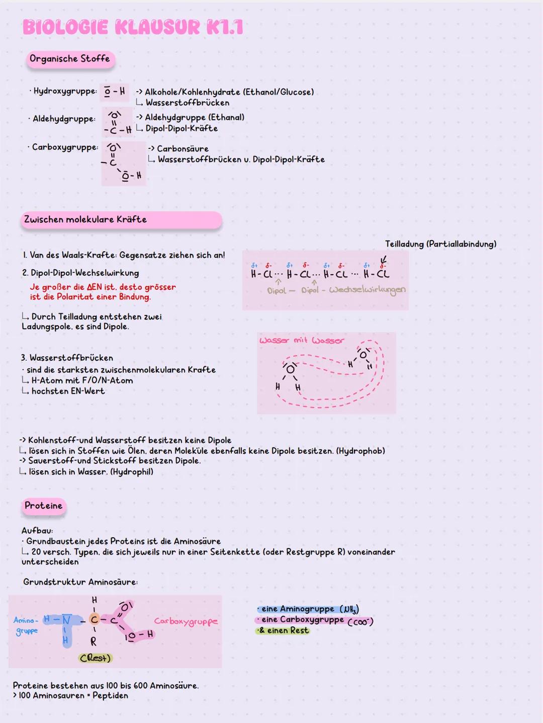 BIOLOGIE KLAUSUR K1.1
Organische Stoffe
Hydroxygruppe: - H -> Alkohole/Kohlenhydrate (Ethanol/Glucose)
L. Wasserstoffbrücken
101
⚫ Aldehydgr